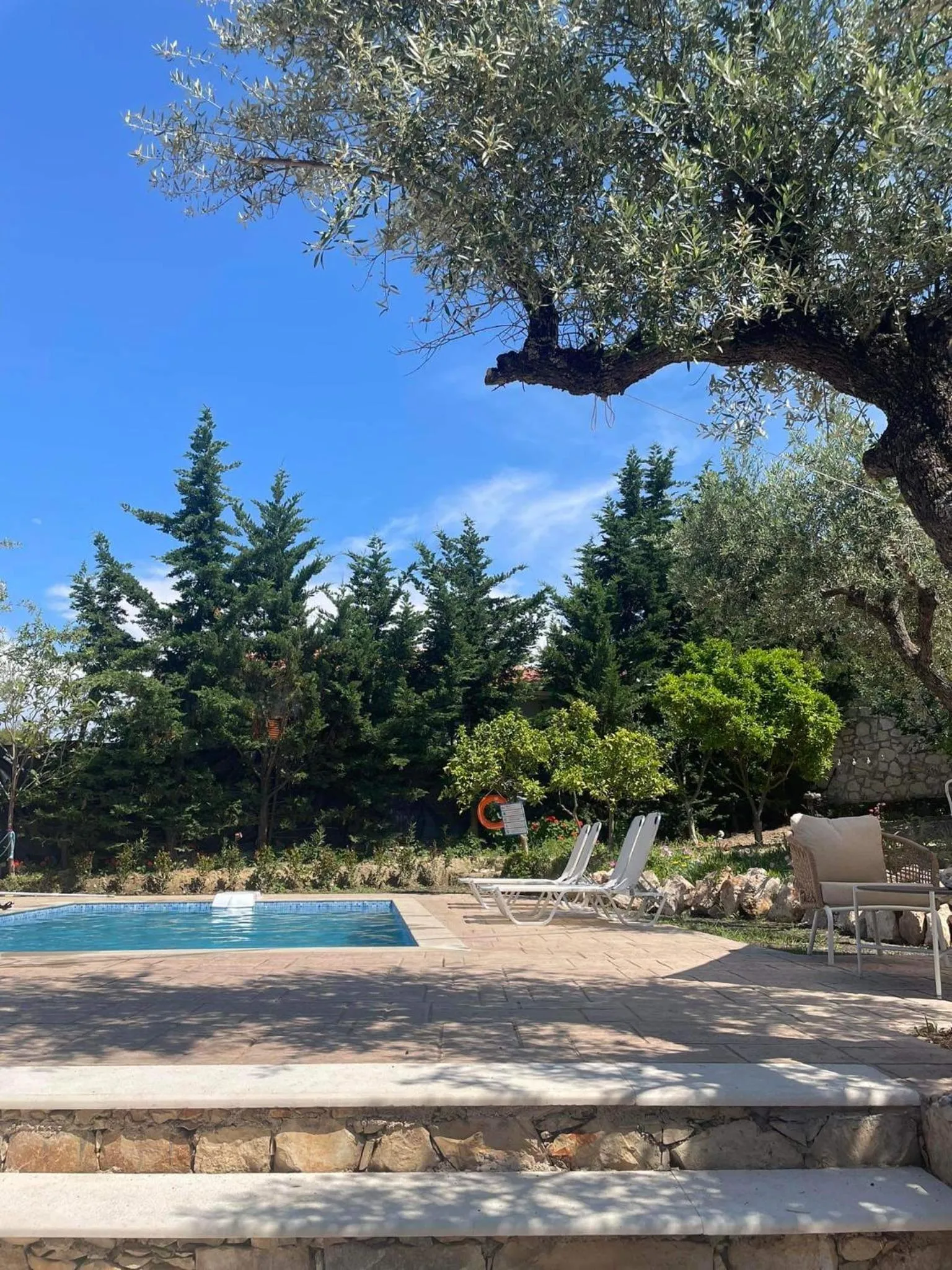 Nissi Collection Rooms