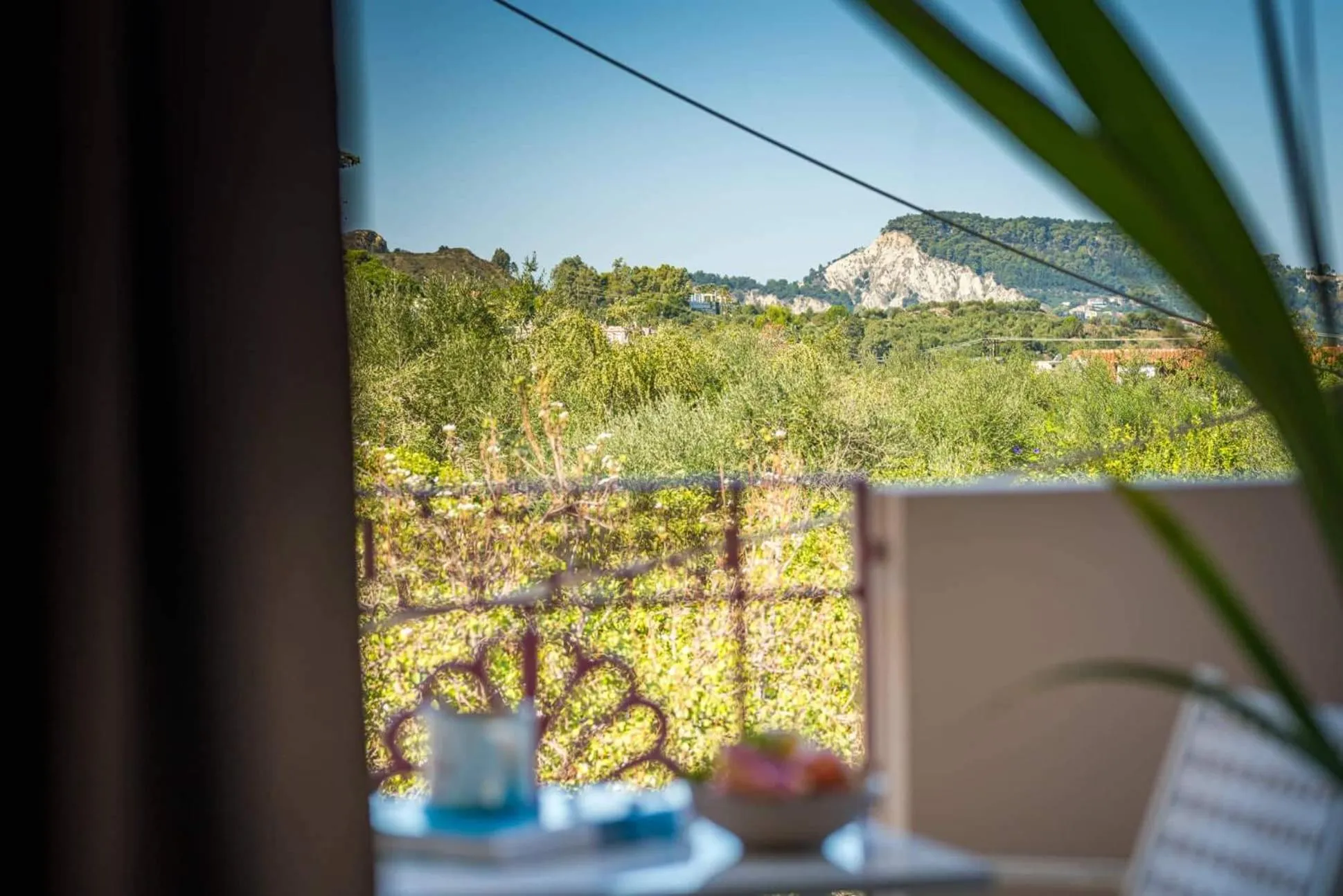 Nissi Collection Rooms