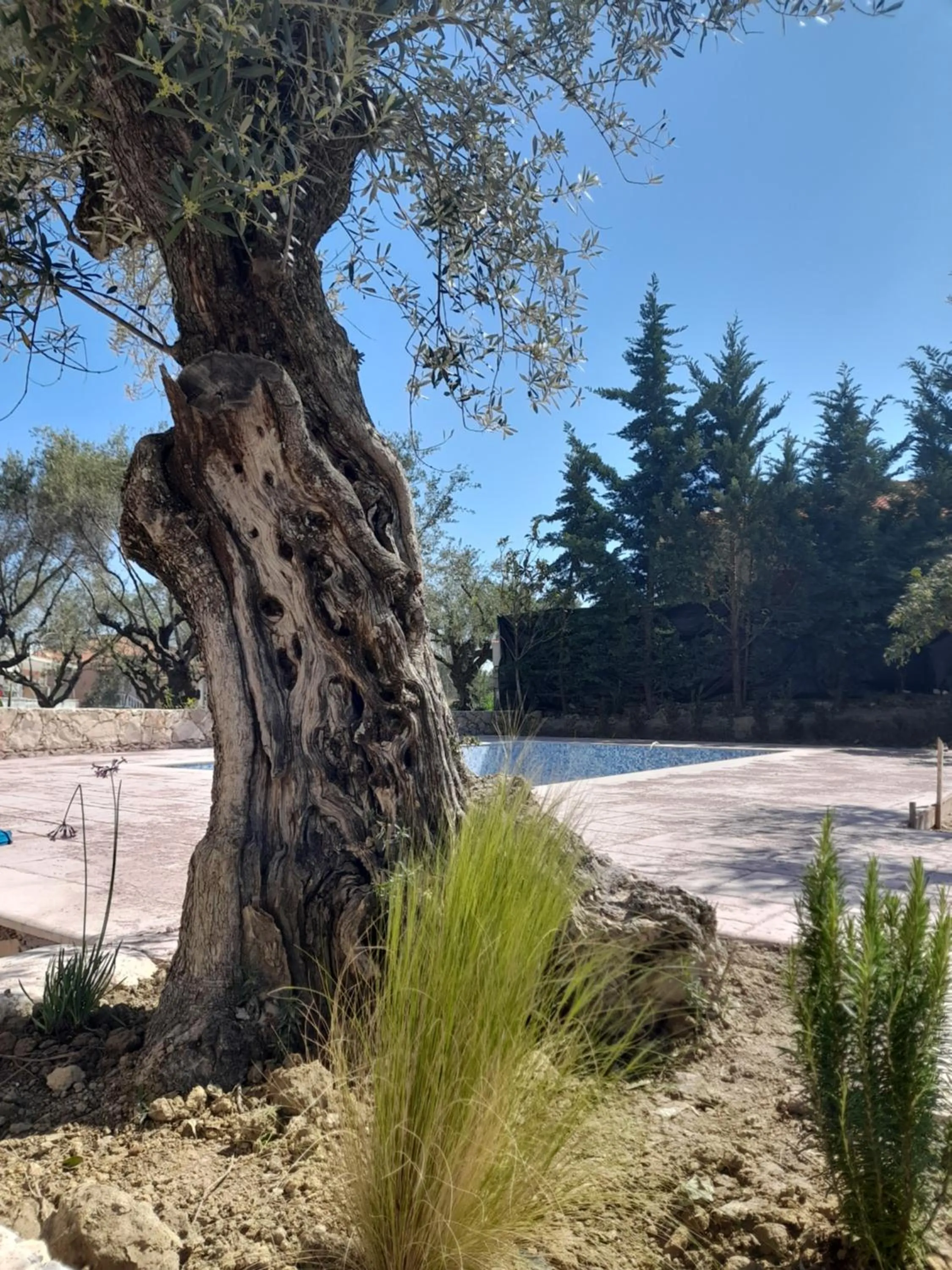 Nissi Collection Rooms