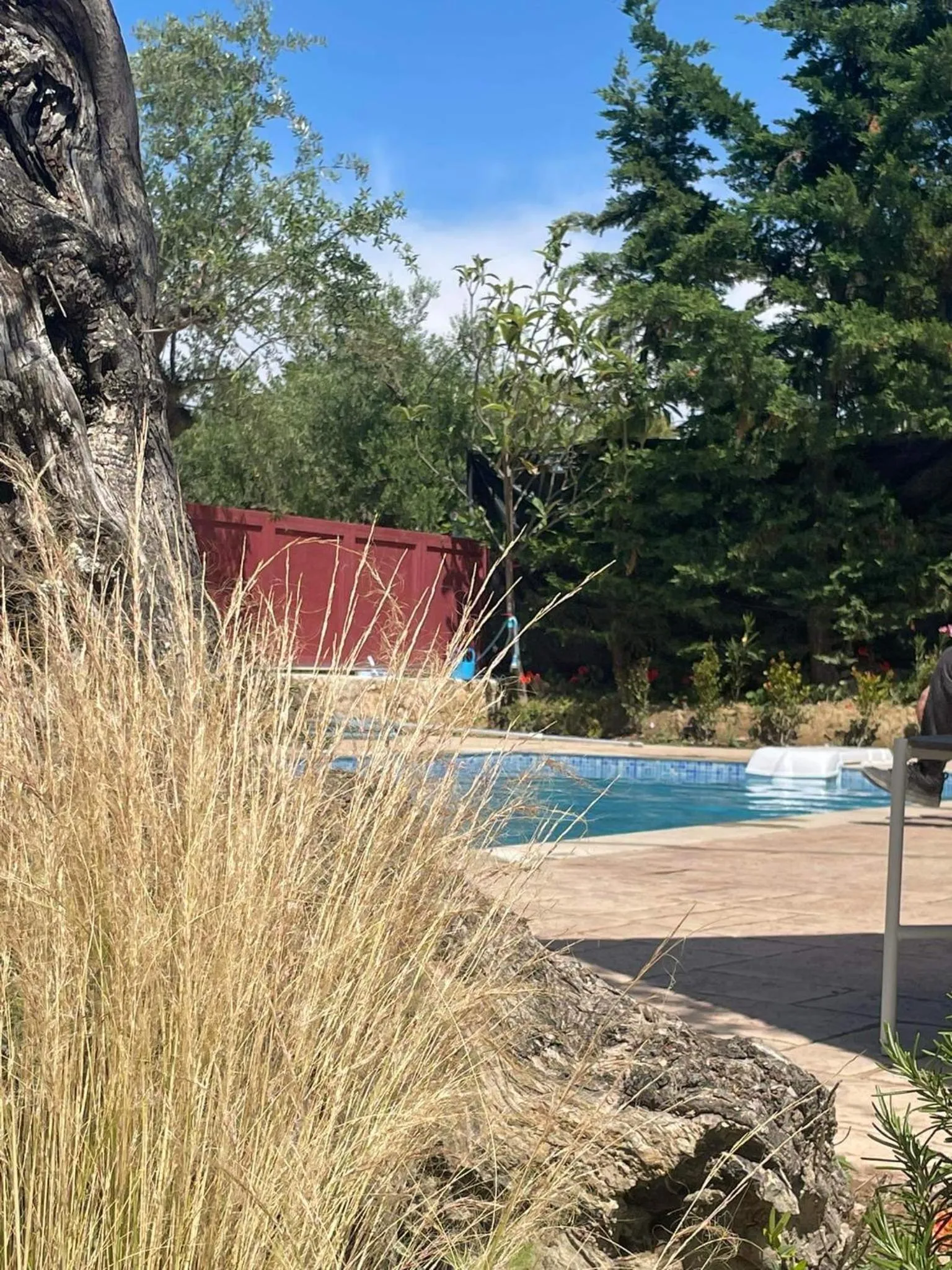 Nissi Collection Rooms