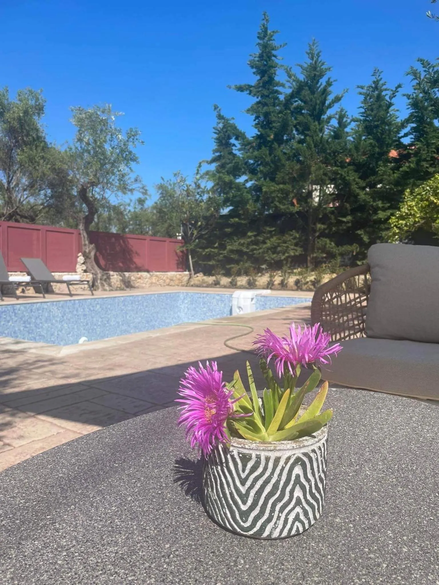 Nissi Collection Rooms