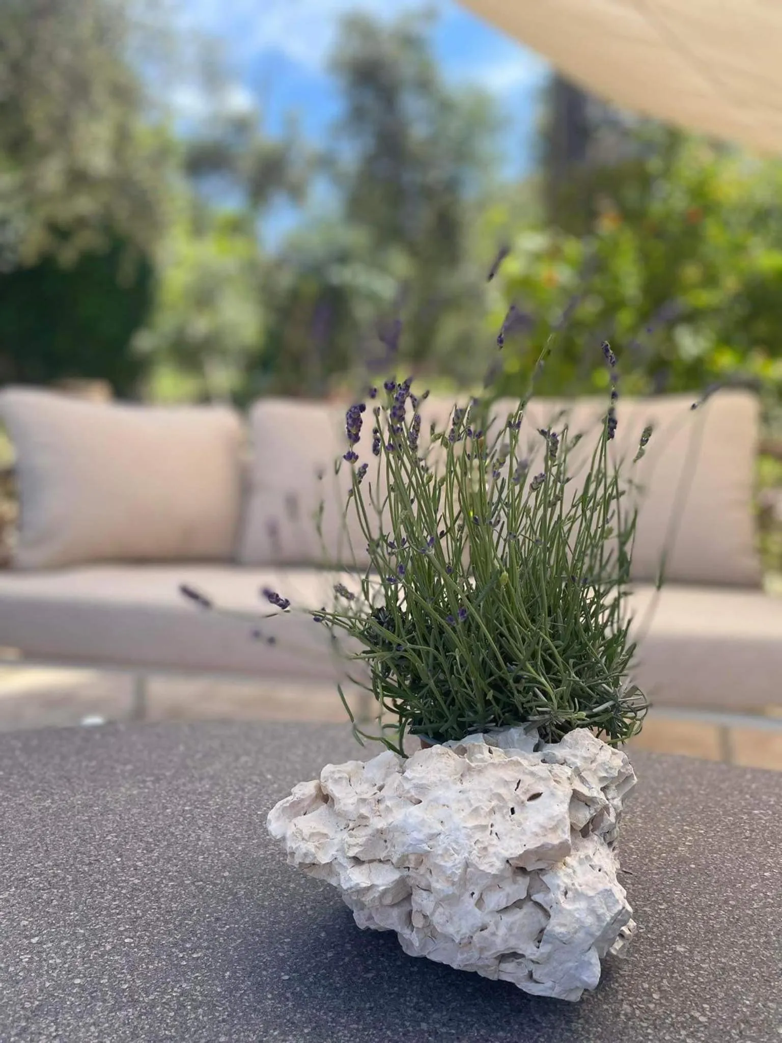 Nissi Collection Rooms