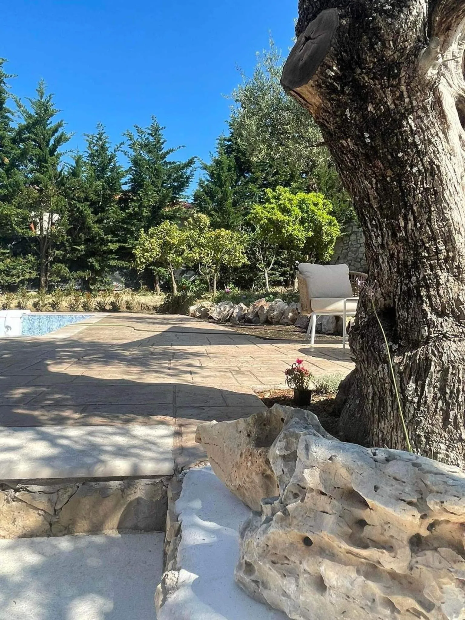 Nissi Collection Rooms