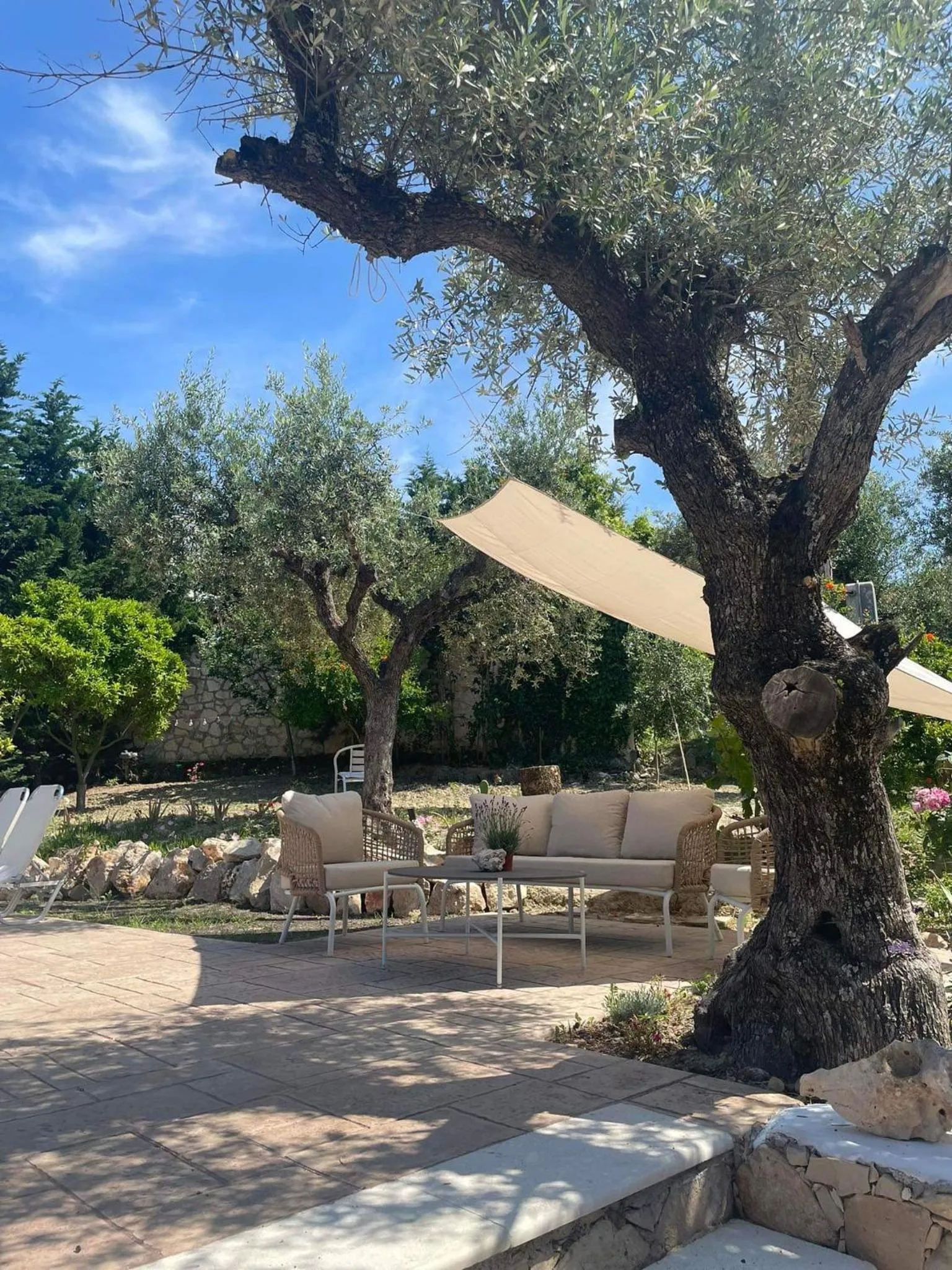 Nissi Collection Rooms