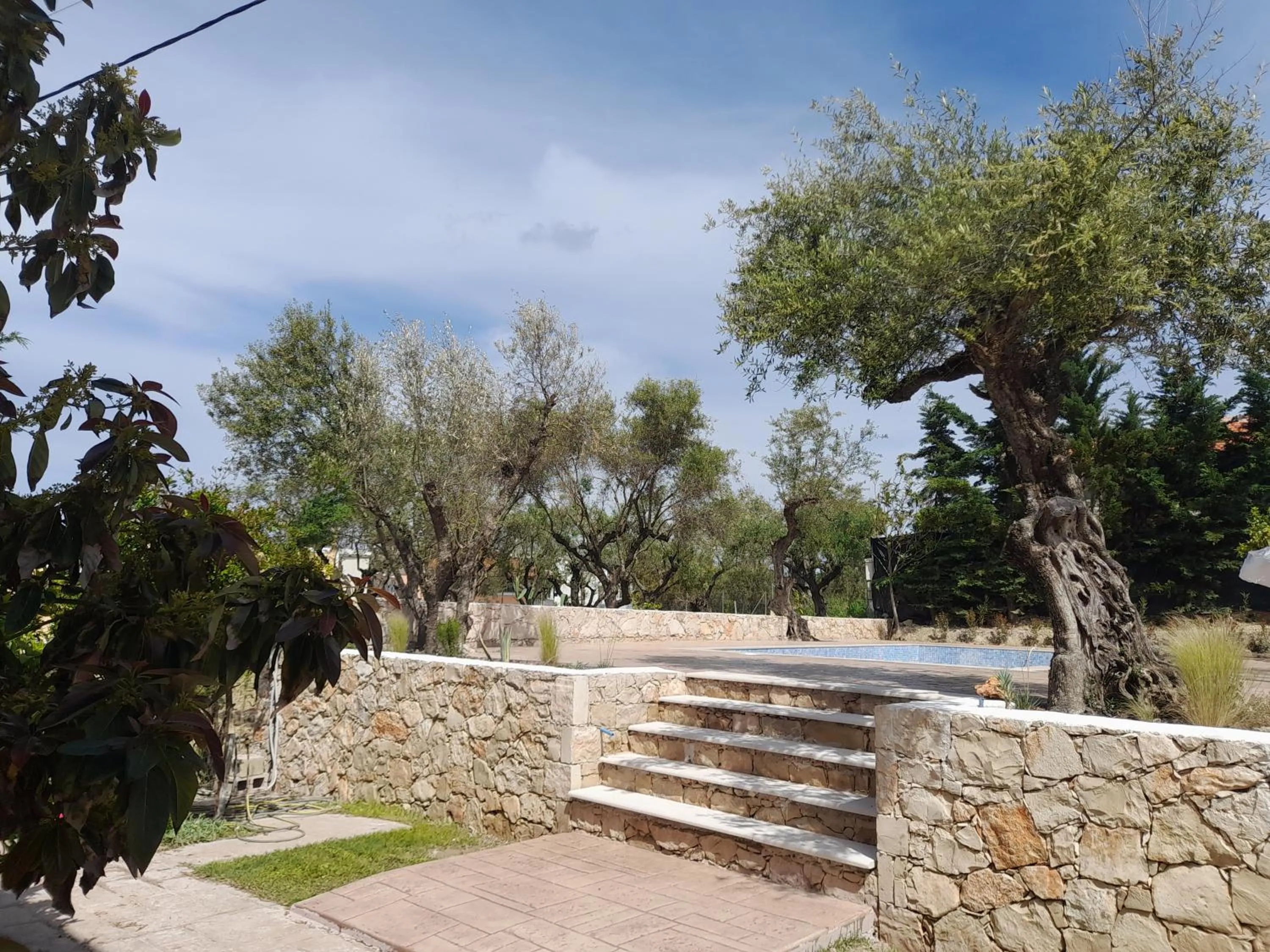 Nissi Collection Rooms