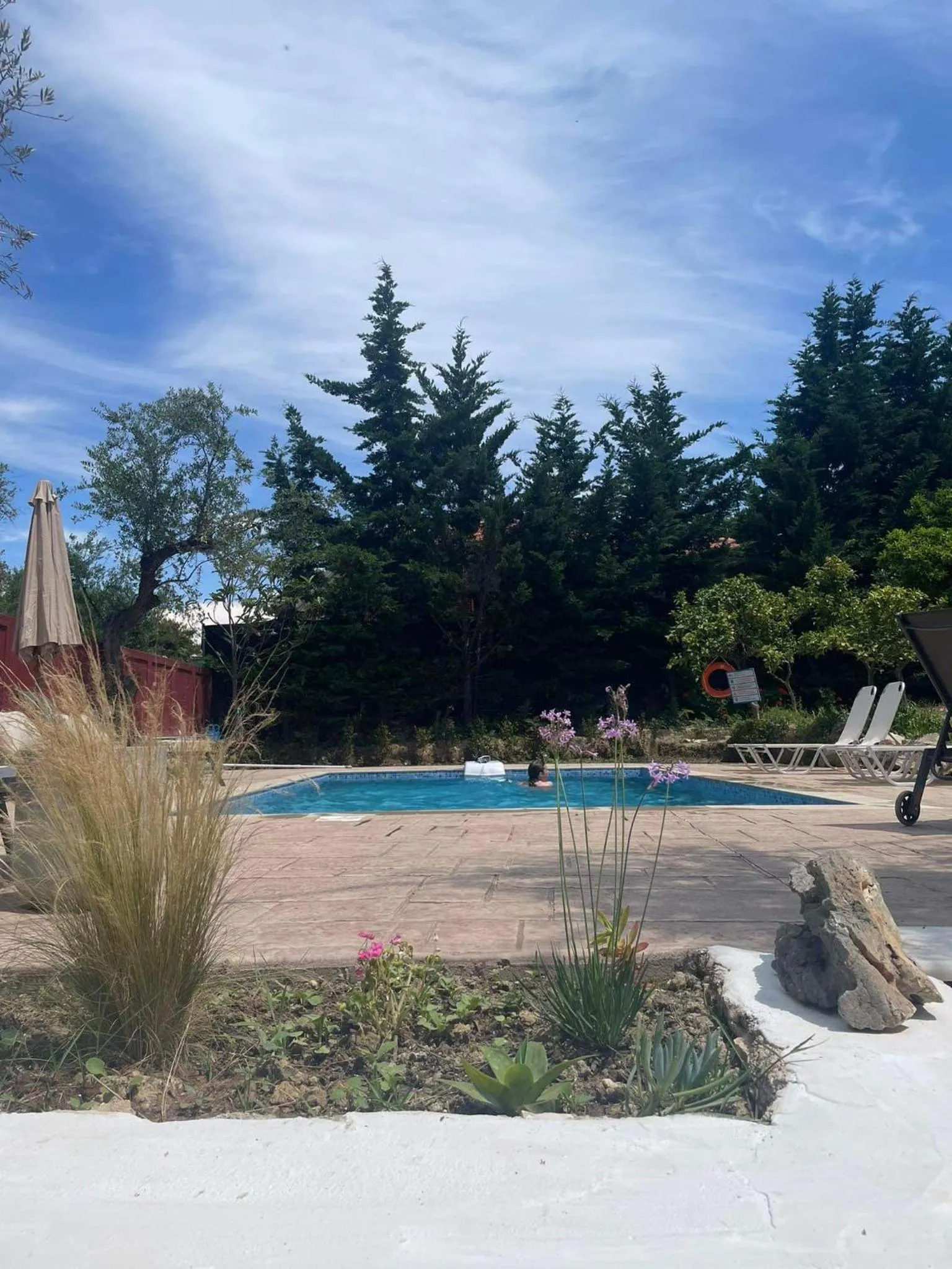 Swimming pool in Nissi Collection Rooms