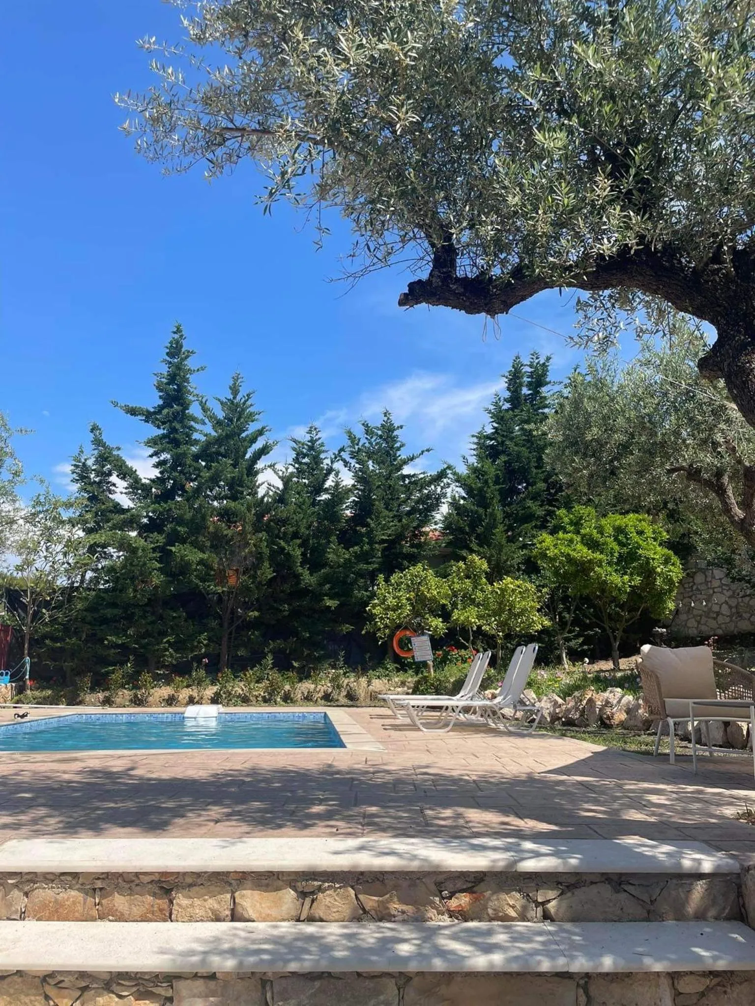 Nissi Collection Rooms