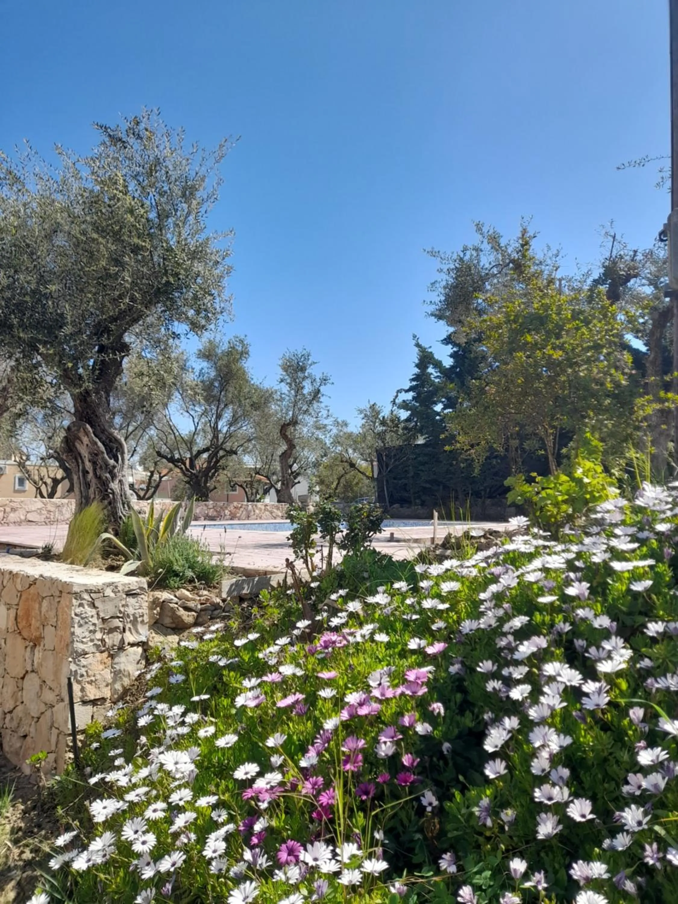 Nissi Collection Rooms