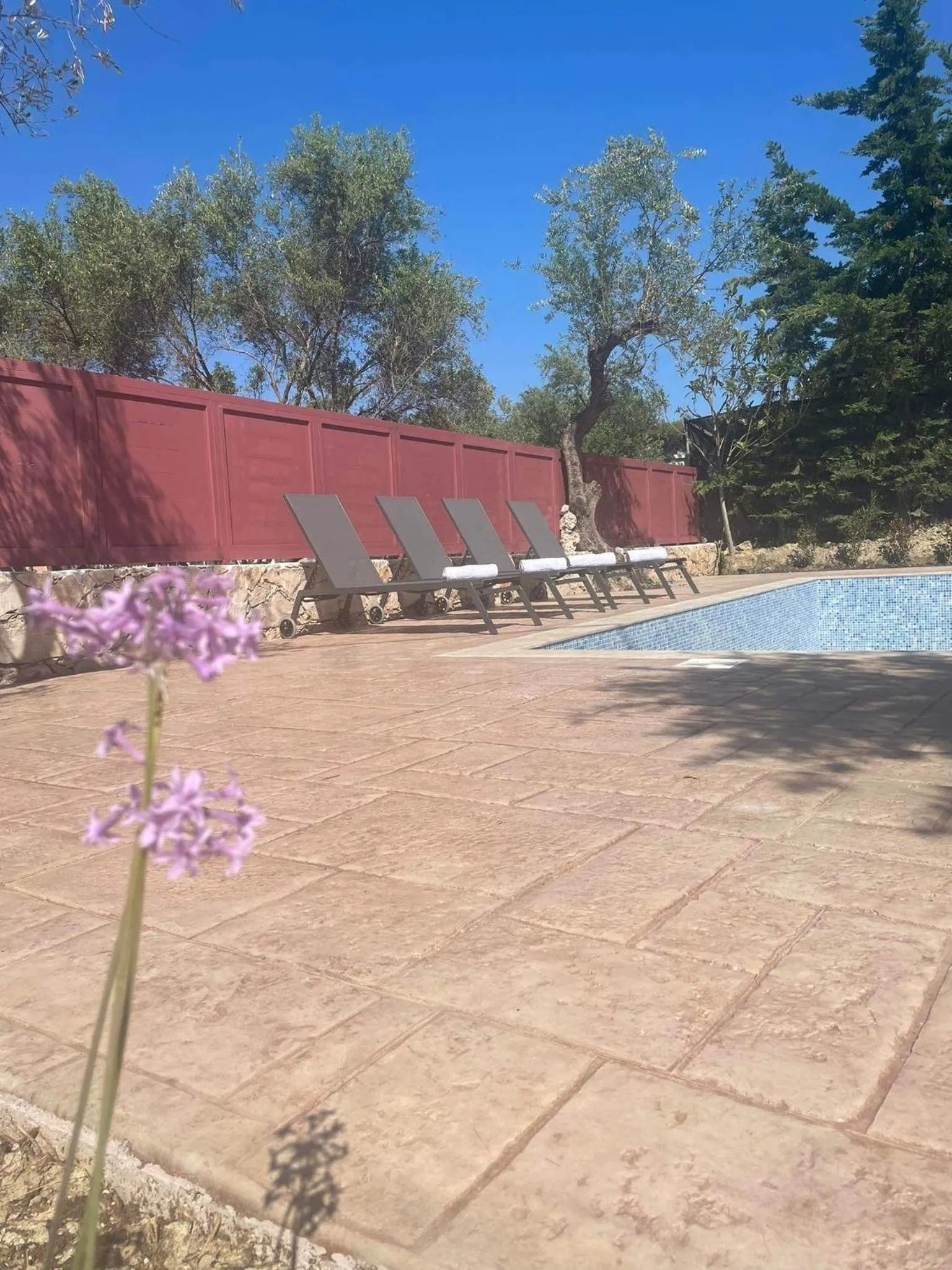 Nissi Collection Rooms