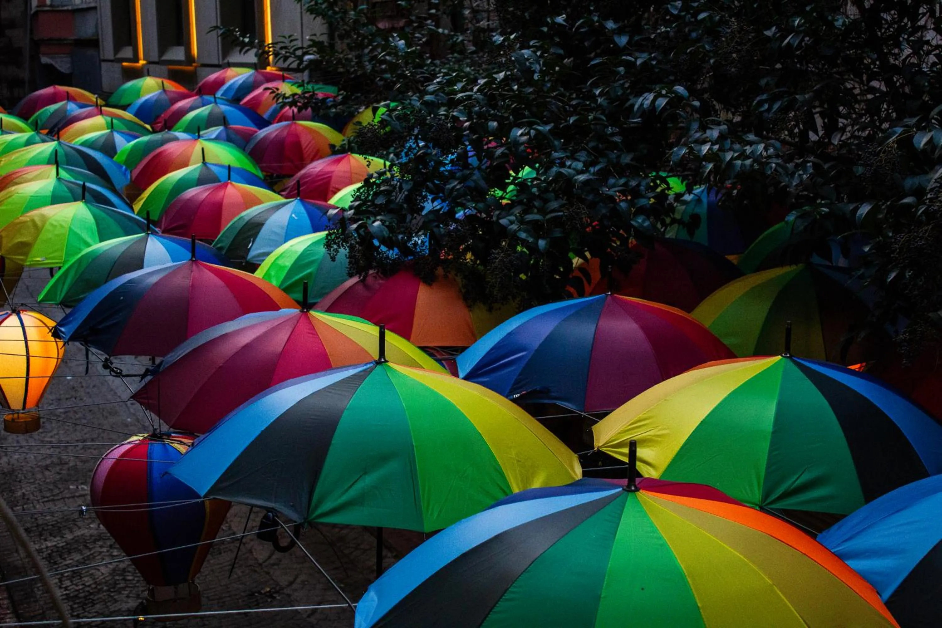 Garden in Genoa Port Hotel