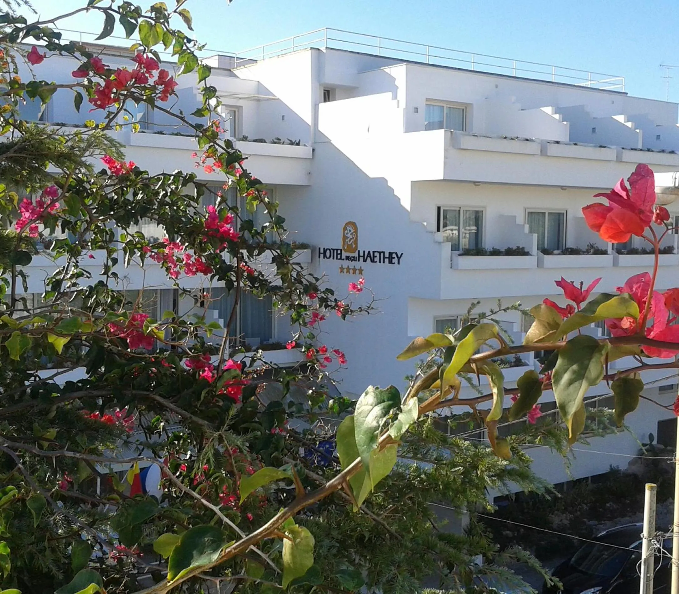 Facade/entrance in Hotel Degli Haethey