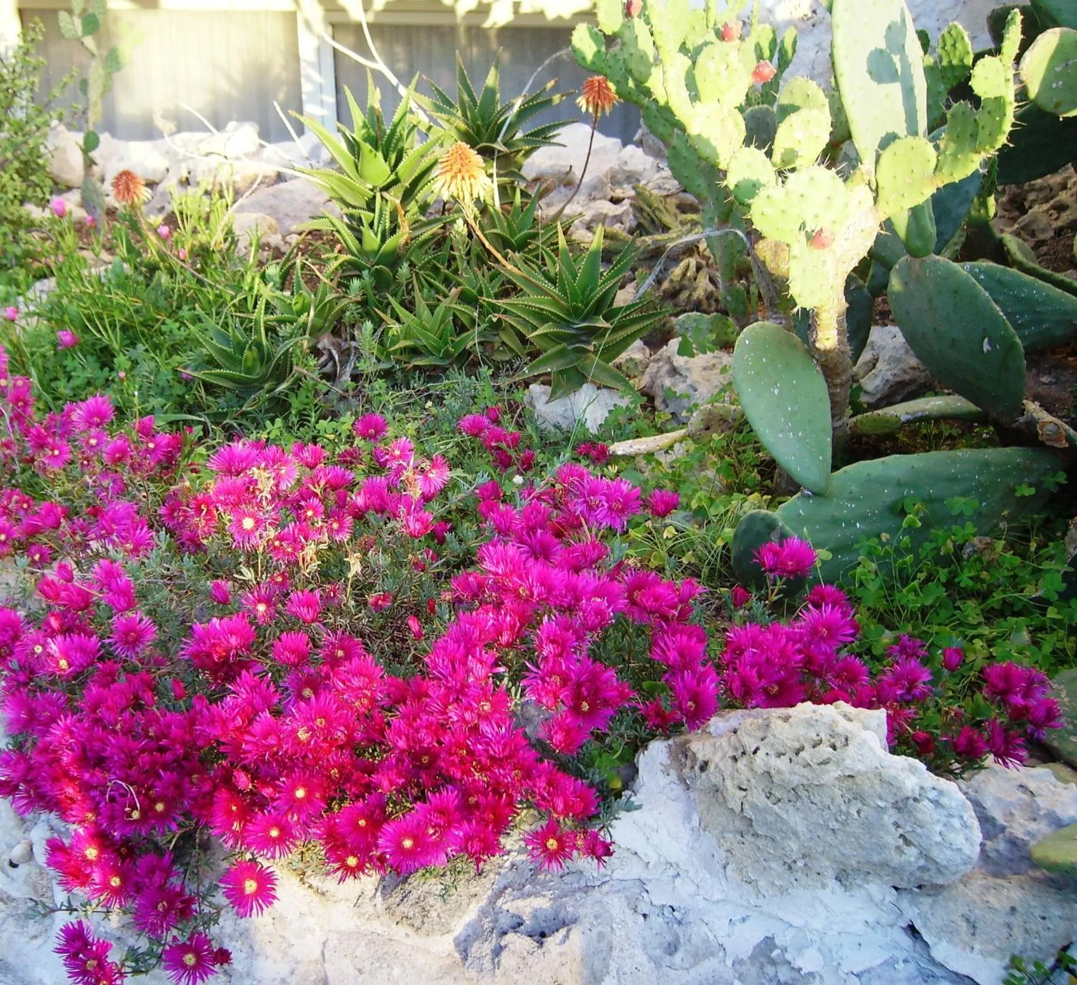 Facade/entrance in Hotel Degli Haethey