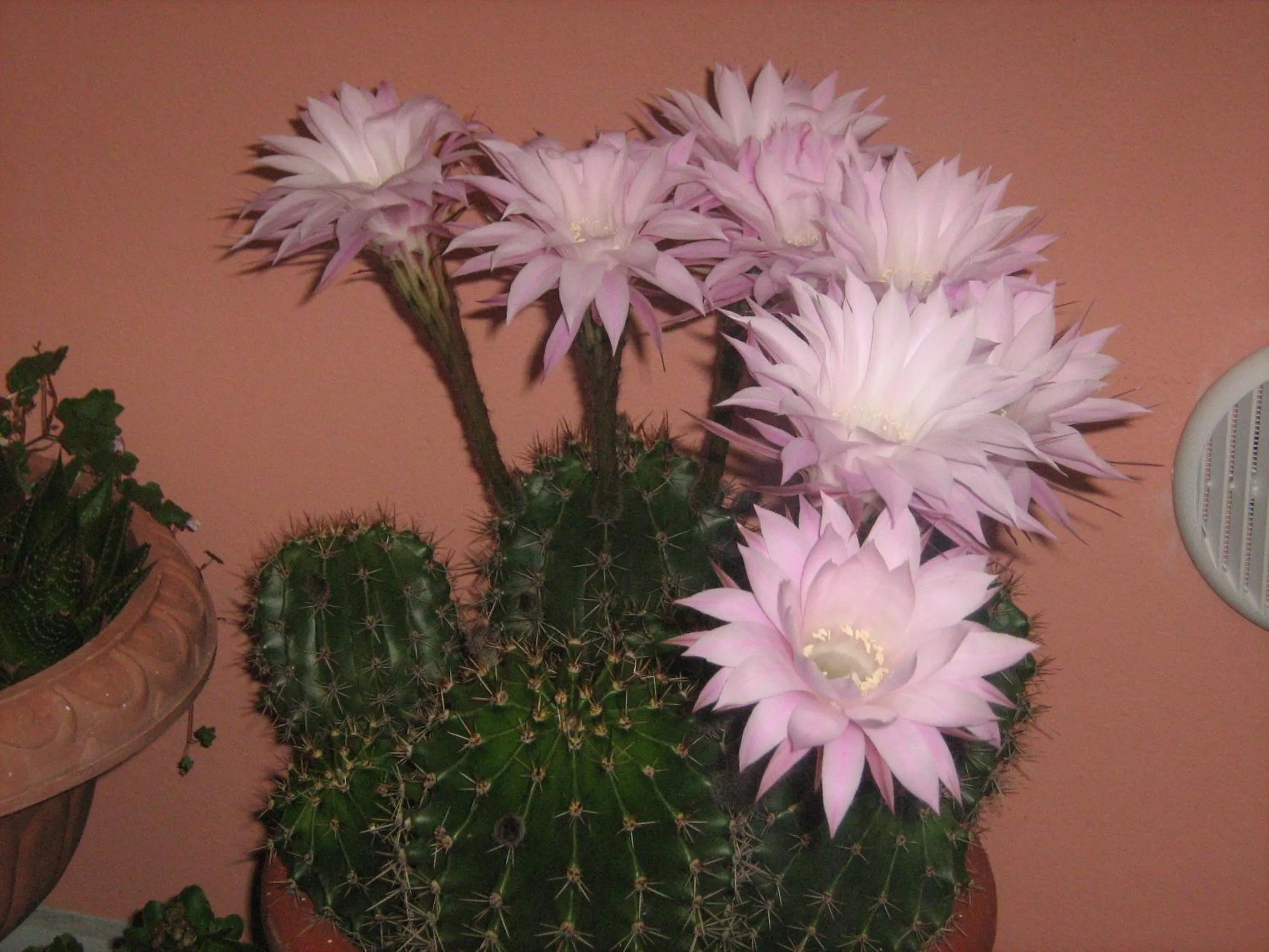 Other in Hotel San Marino