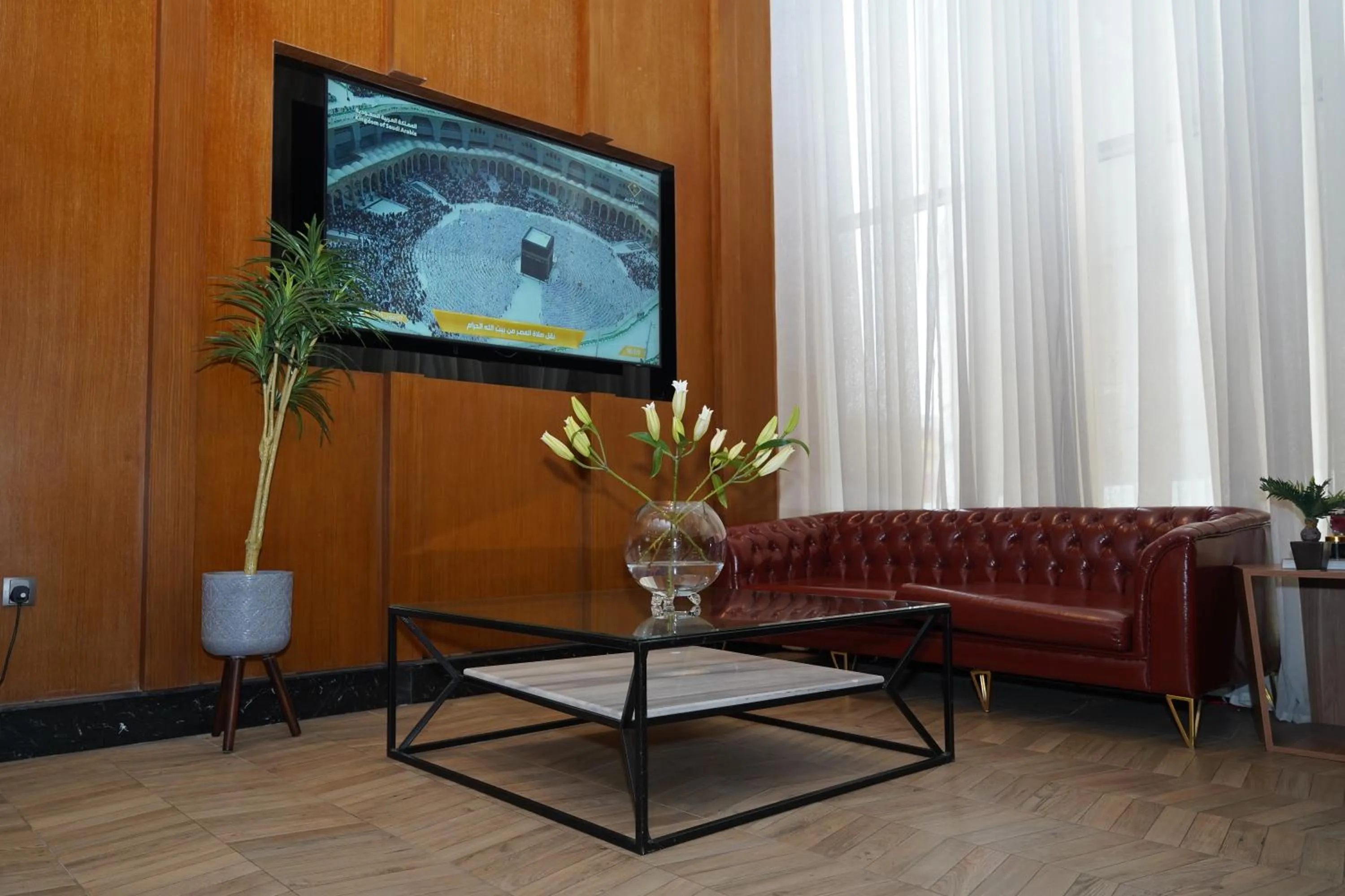 TV and multimedia in Roots Hotel