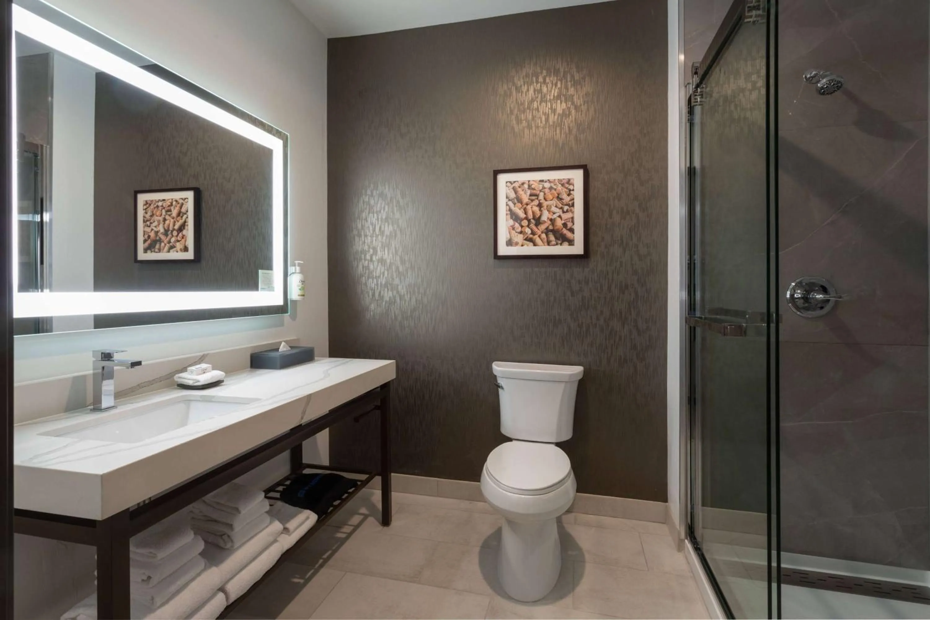 TV and multimedia in La Quinta Inn & Suites by Wyndham Galt Lodi North