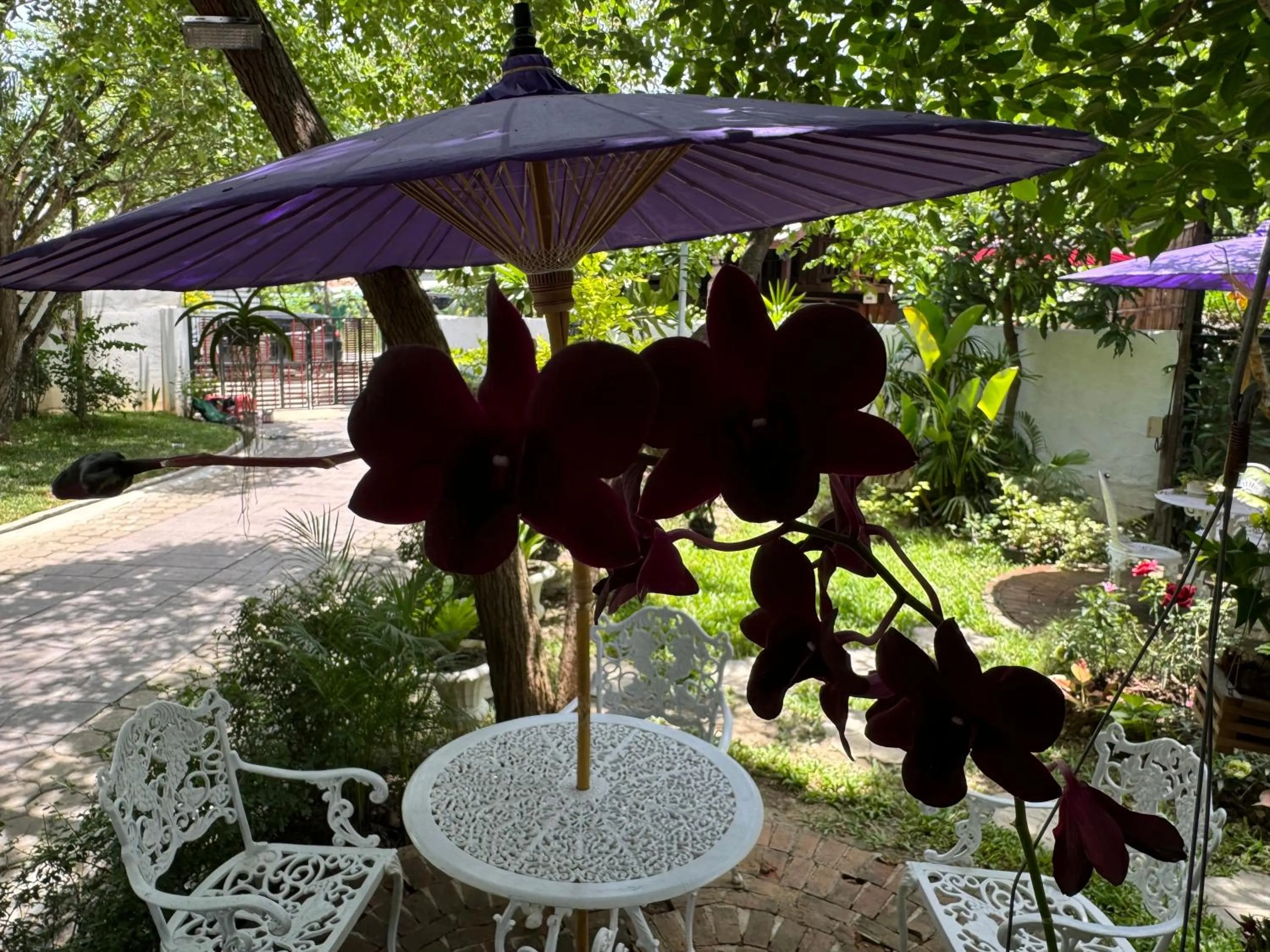 Garden view in Chiang Mai Las Orquideas Resort