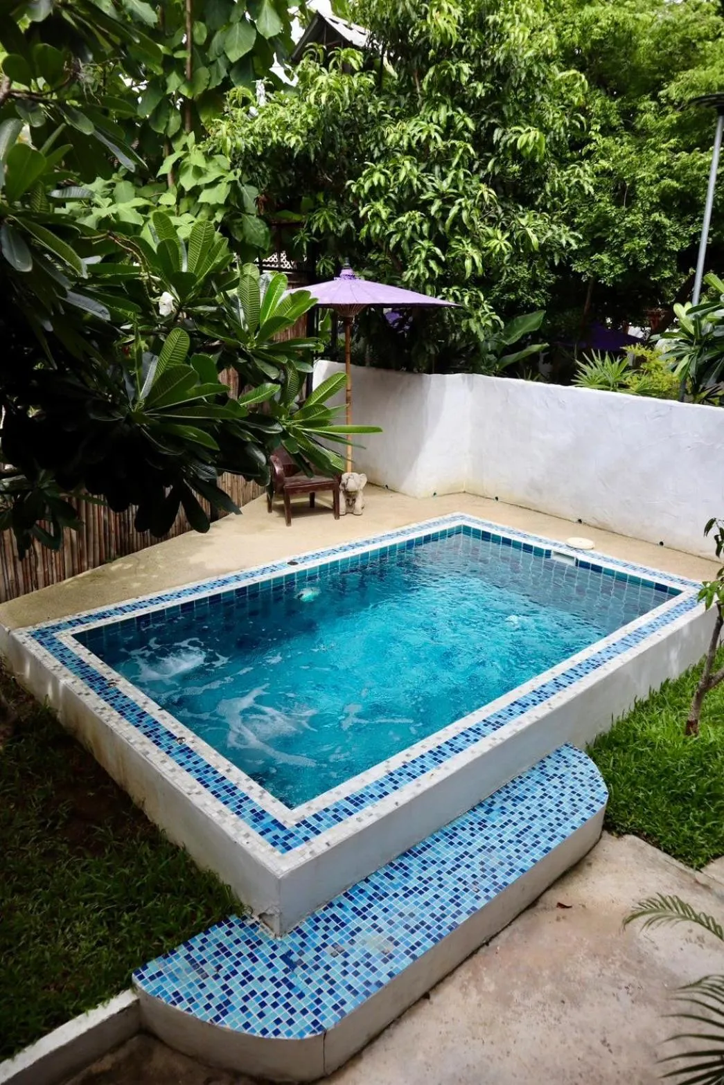 Swimming pool in Chiang Mai Las Orquideas Resort