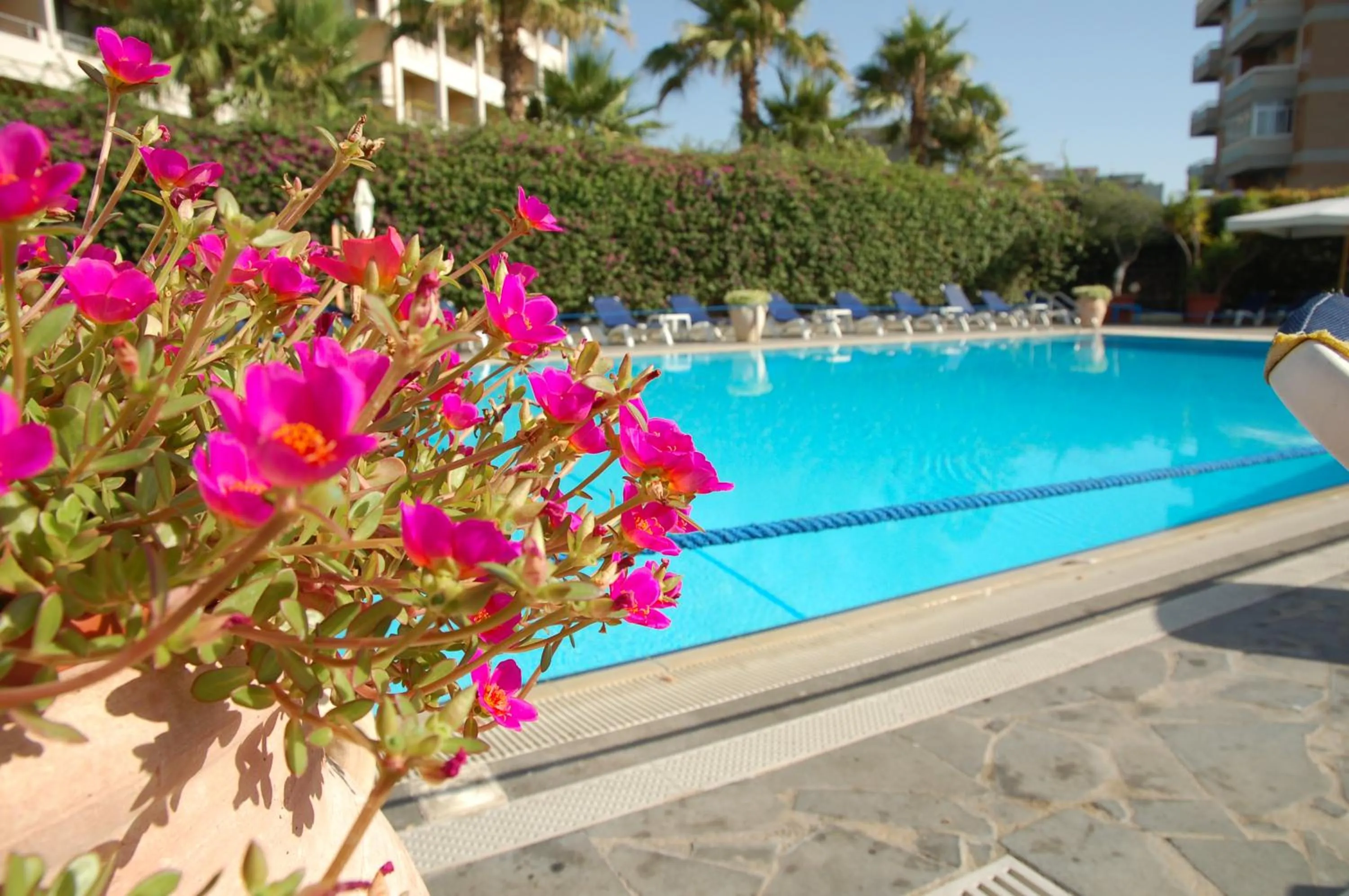 Swimming pool in Hotel Nettuno
