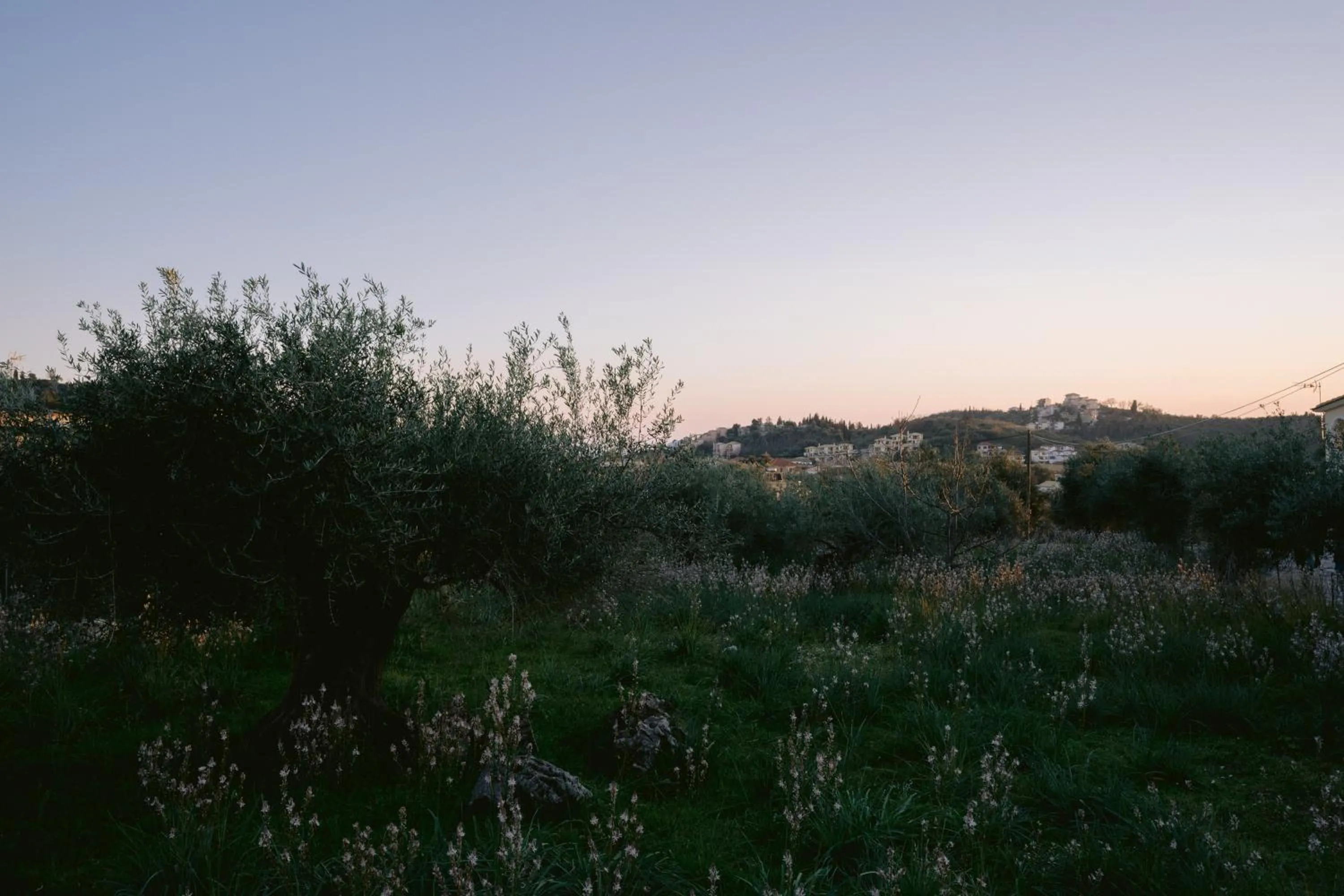 Neighbourhood in Sarah Luxury Rooms