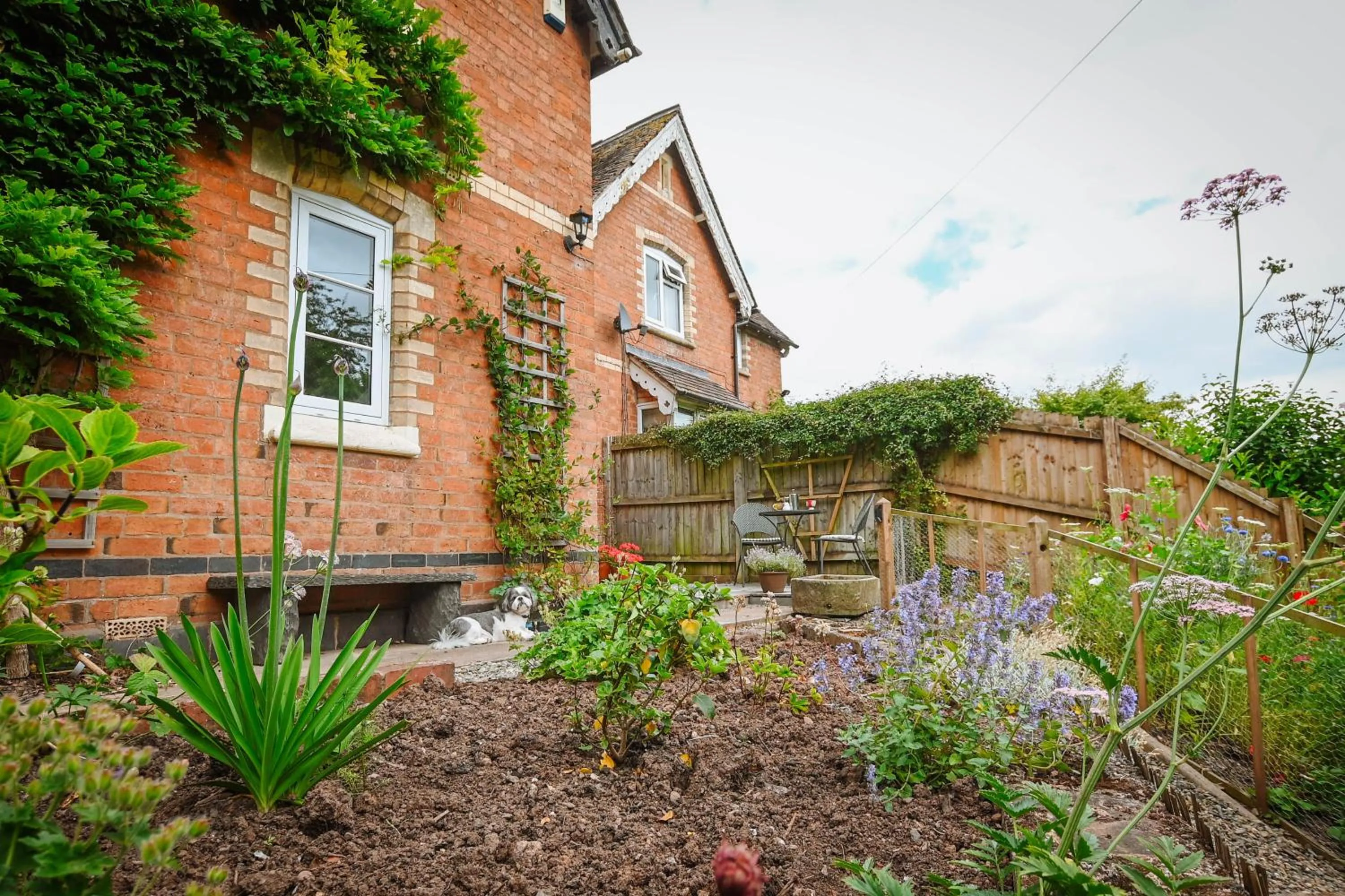 Garden view in Morningside Cottage