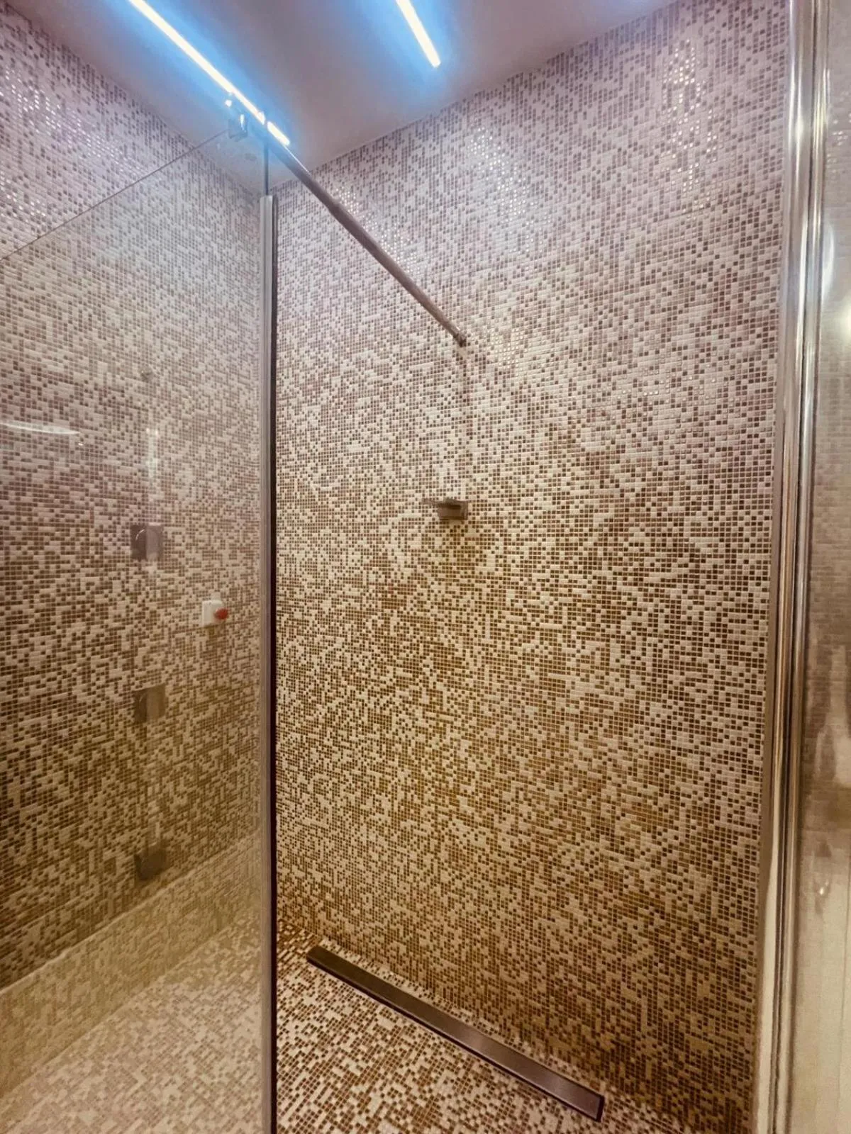 Shower in Hotel Sila