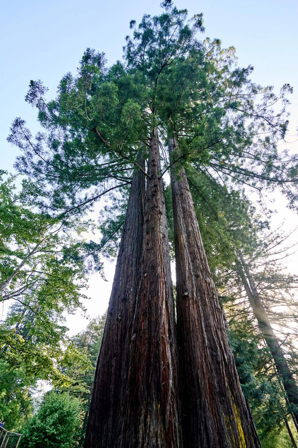 Property building in Dawn Ranch