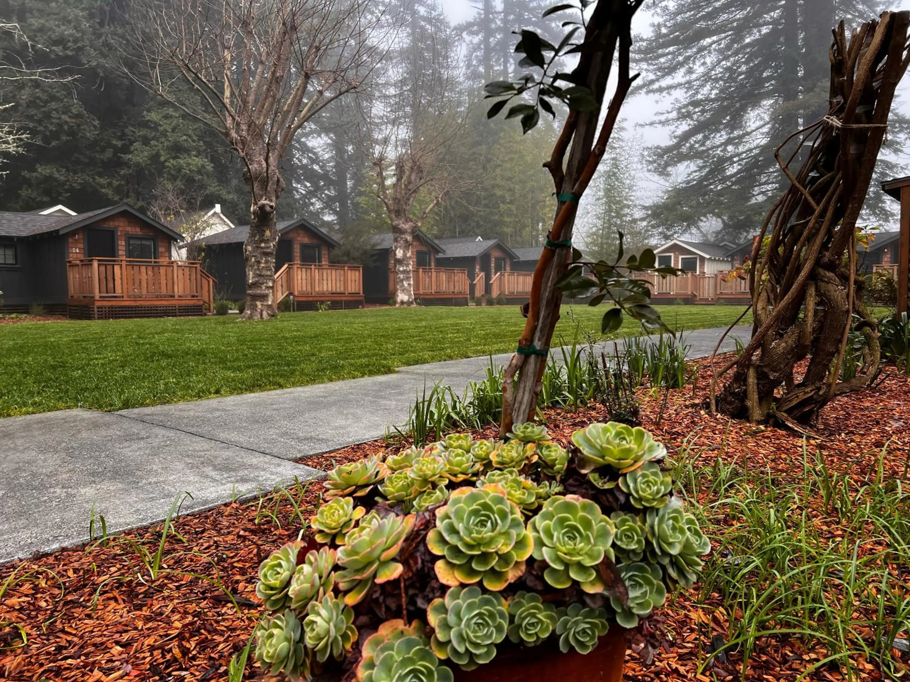 Decorative detail in Dawn Ranch