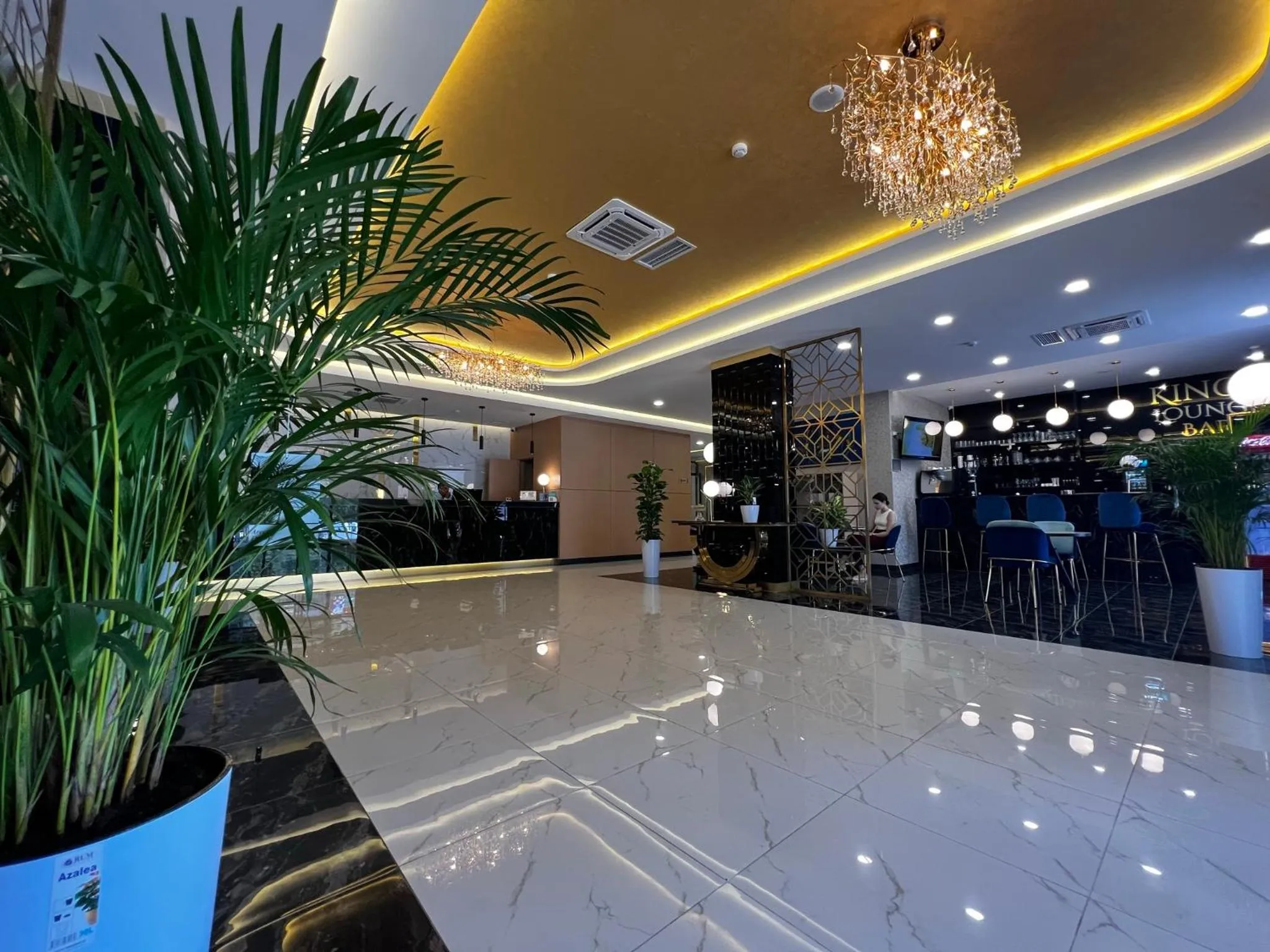 Lobby or reception in King Plaza Hotel