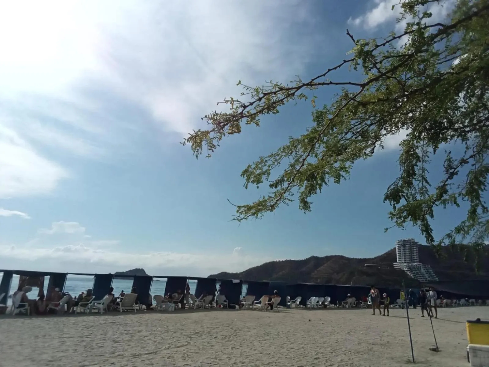 Natural landscape in Hotel Rodadero Dorado Beach