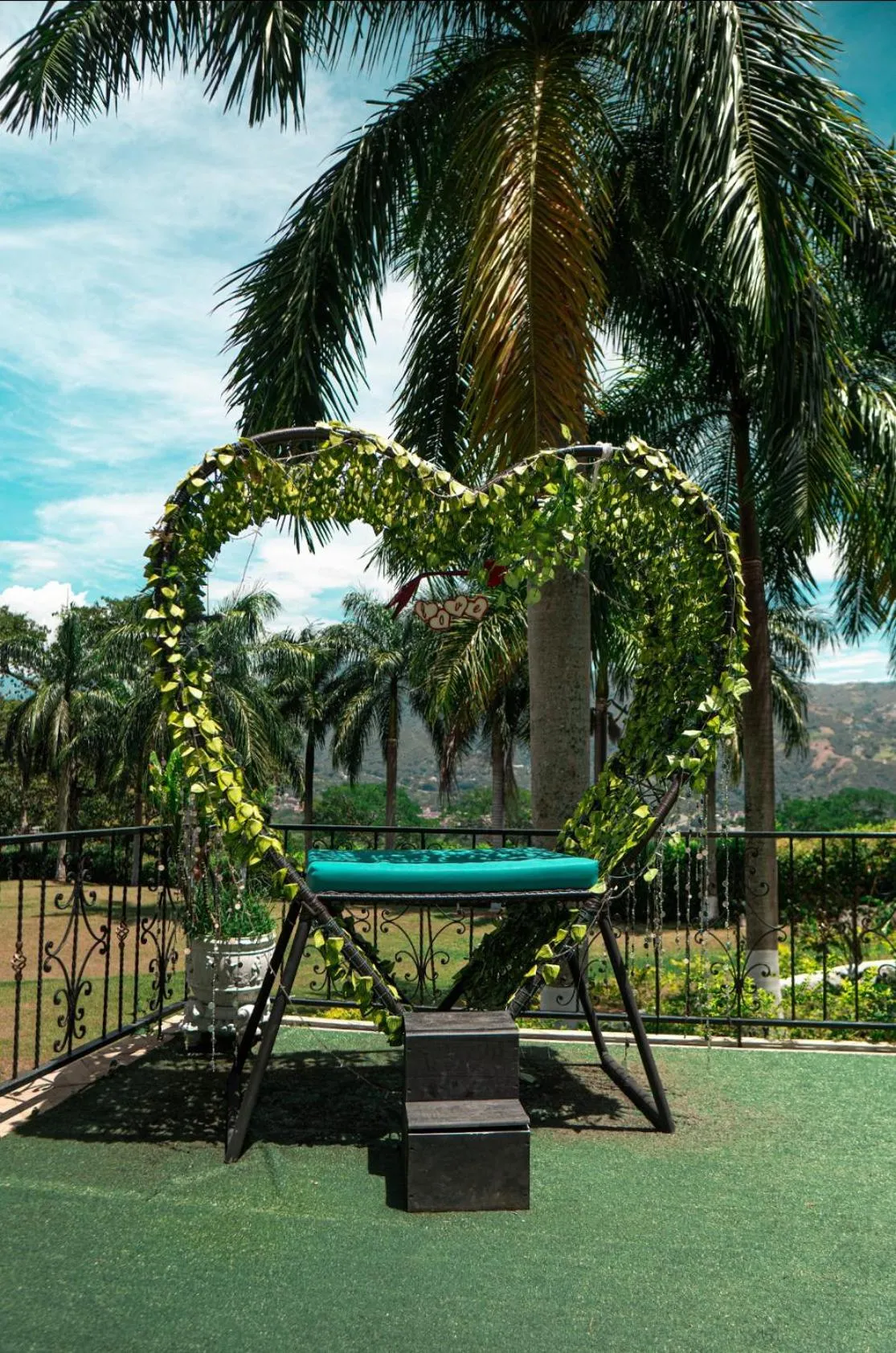 Garden in Hotel Villa Alicia