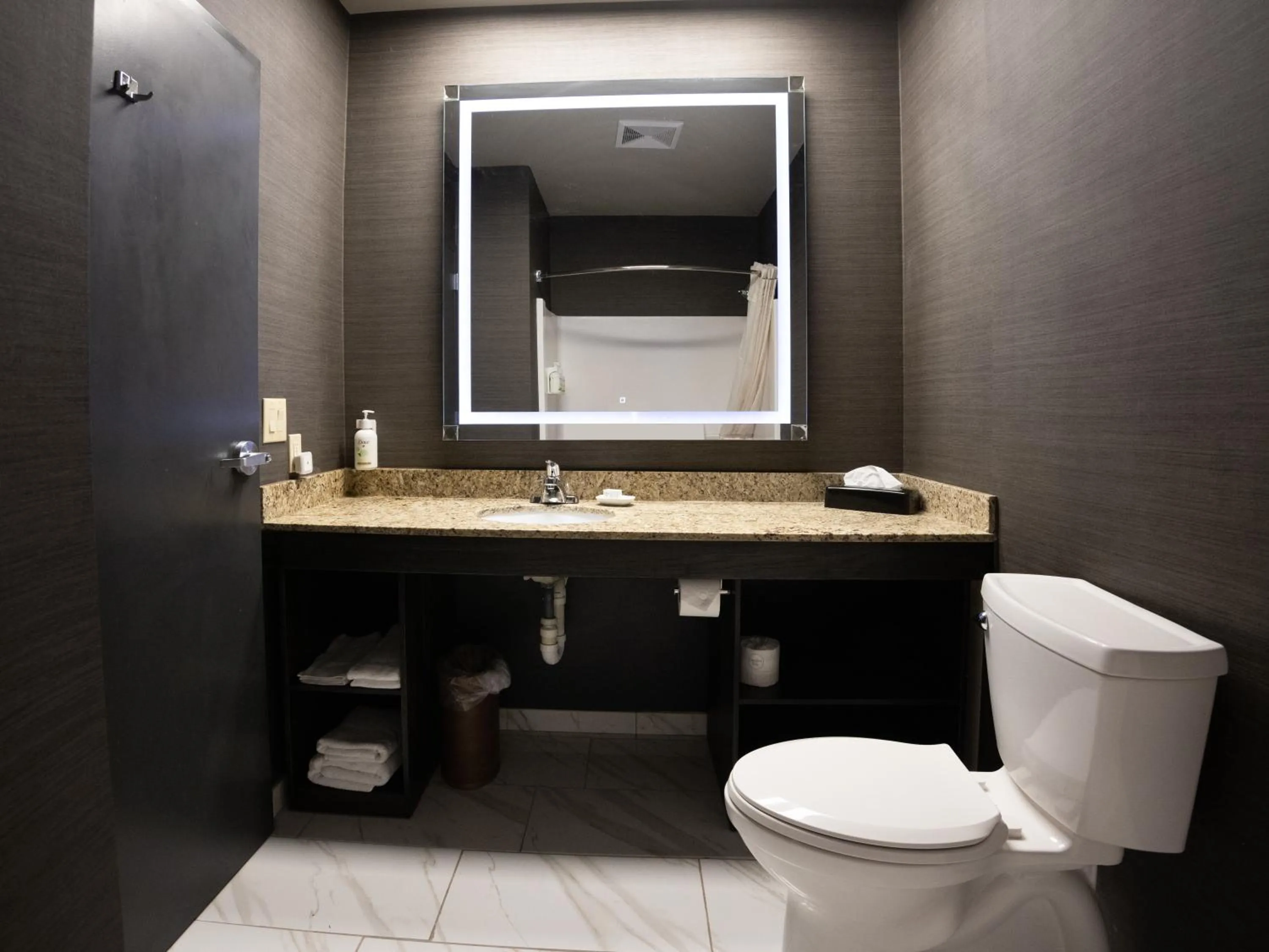 Toilet in Distill-Inn