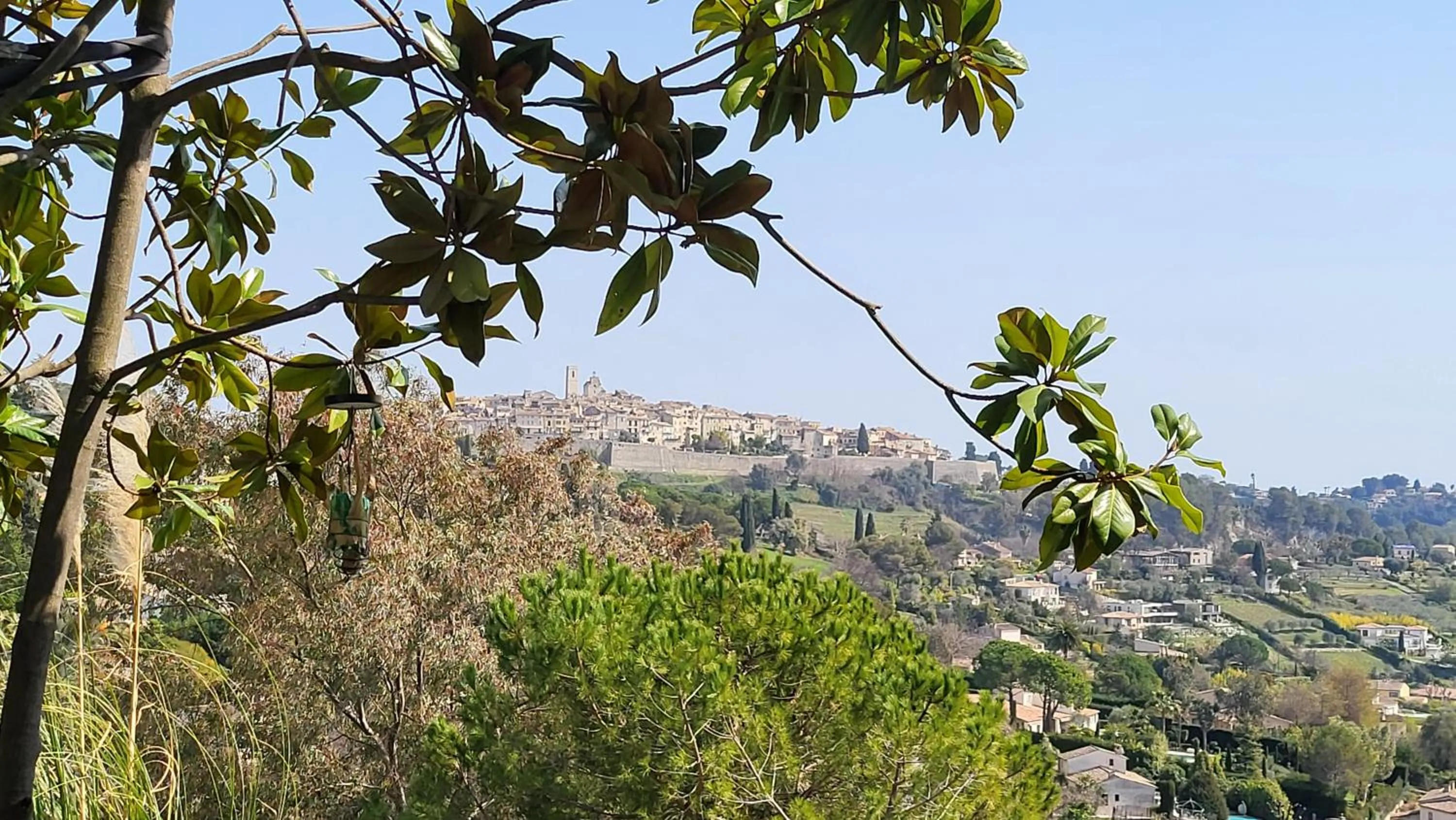 Natural landscape in Ideal BnB, Luxury Apartments