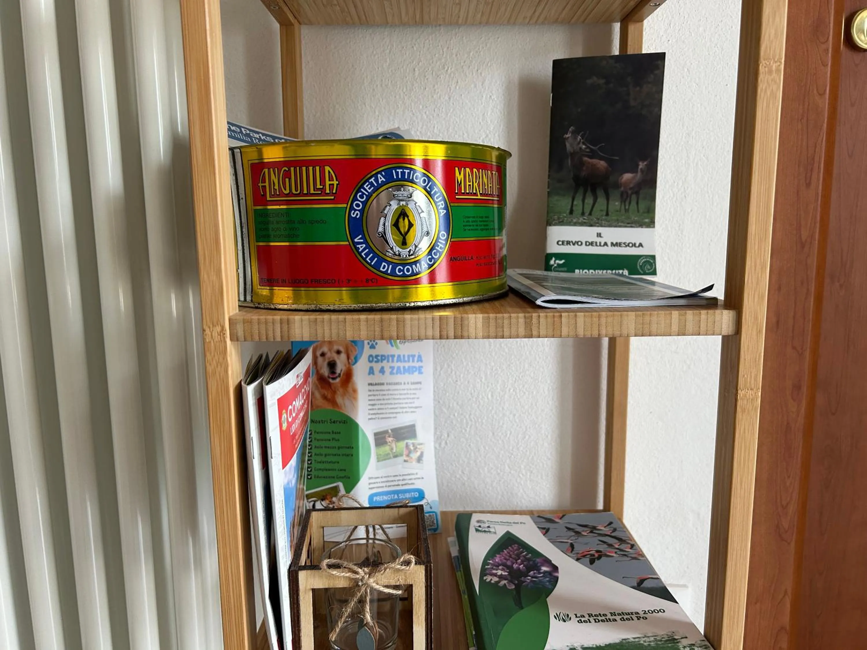 Library in B&B La Bohème Porto Garibaldi