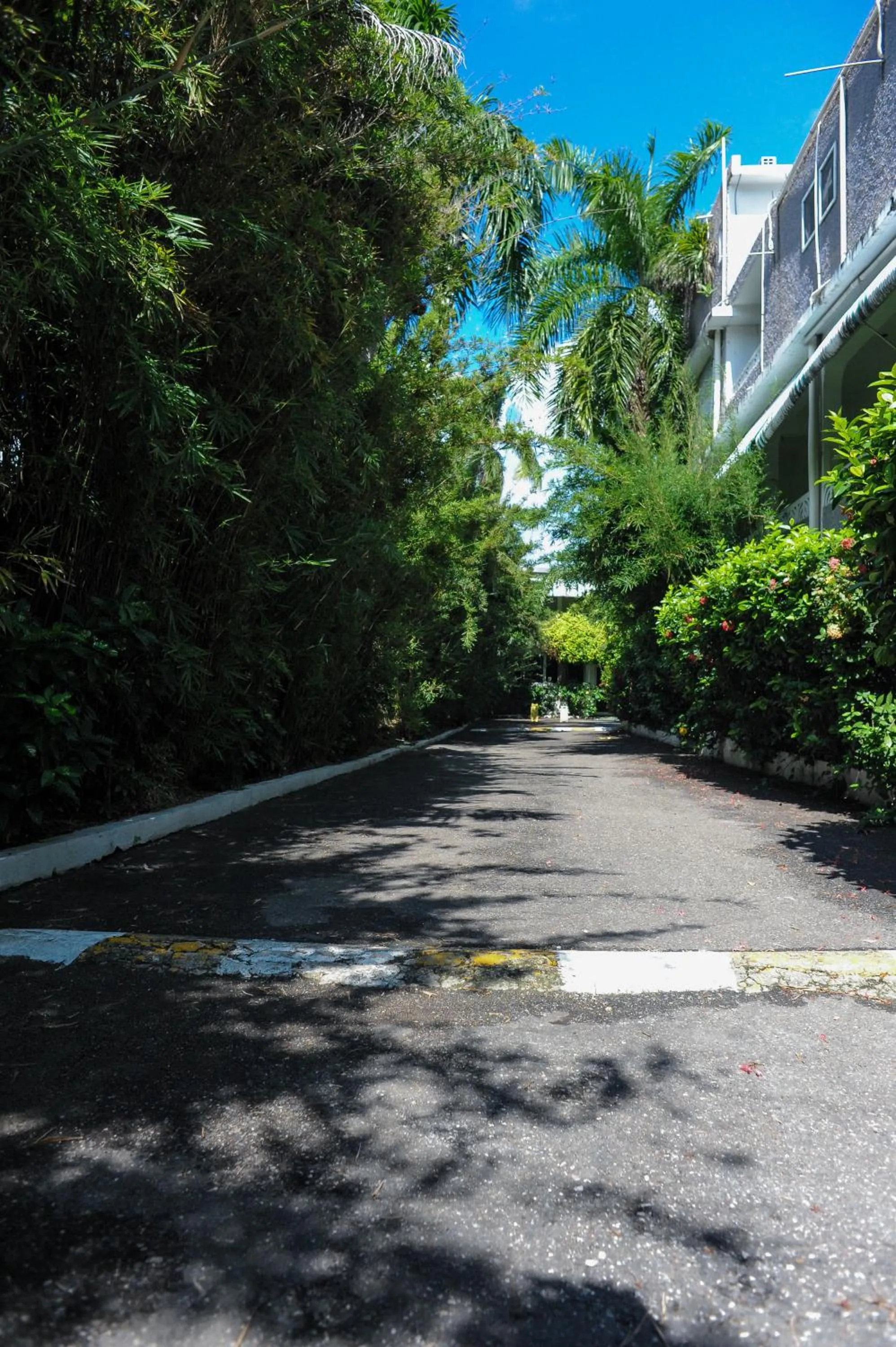 Garden in Glorianna Hotel