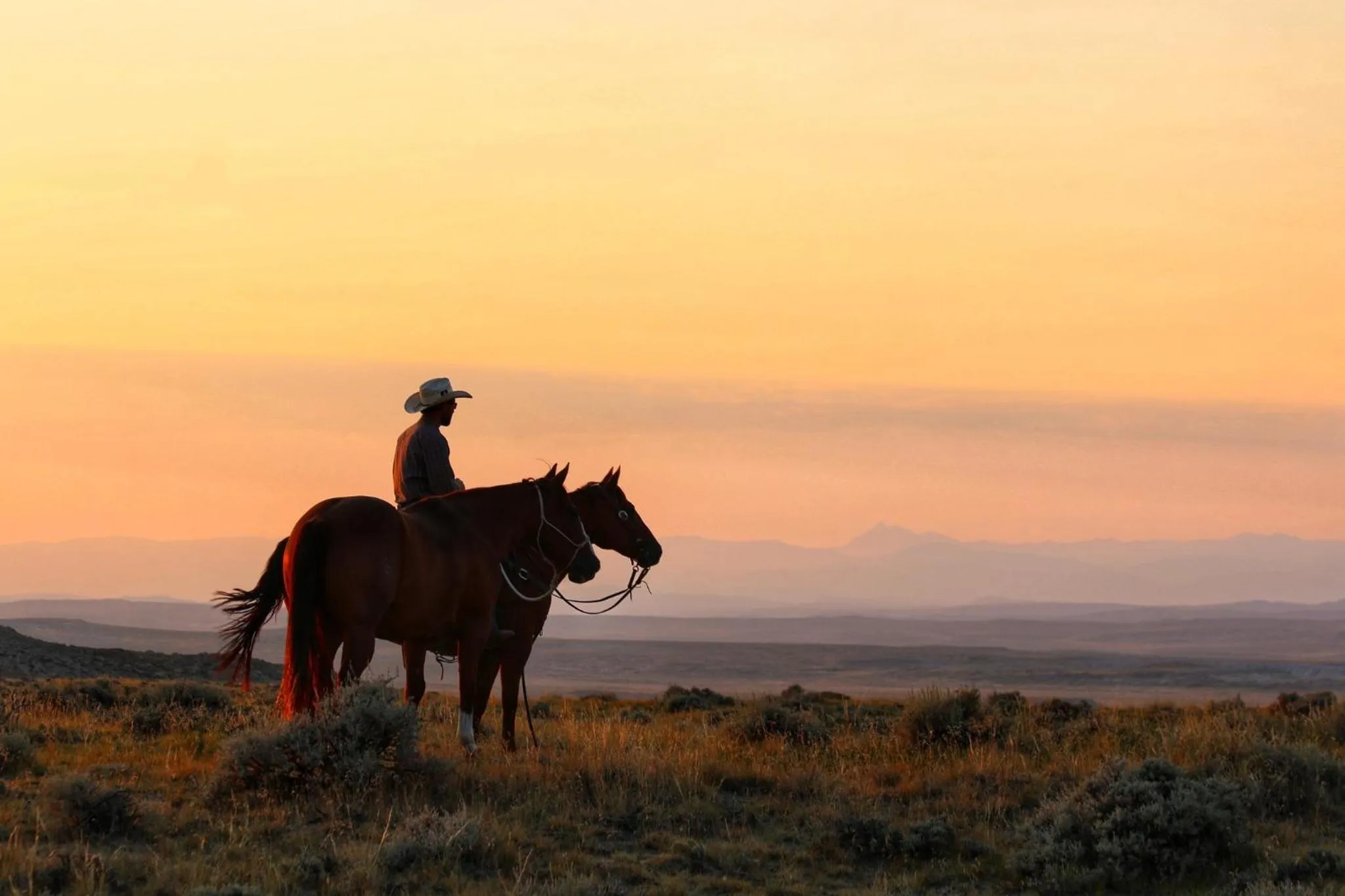 Horse-riding in Crooked Creek Guest Ranch