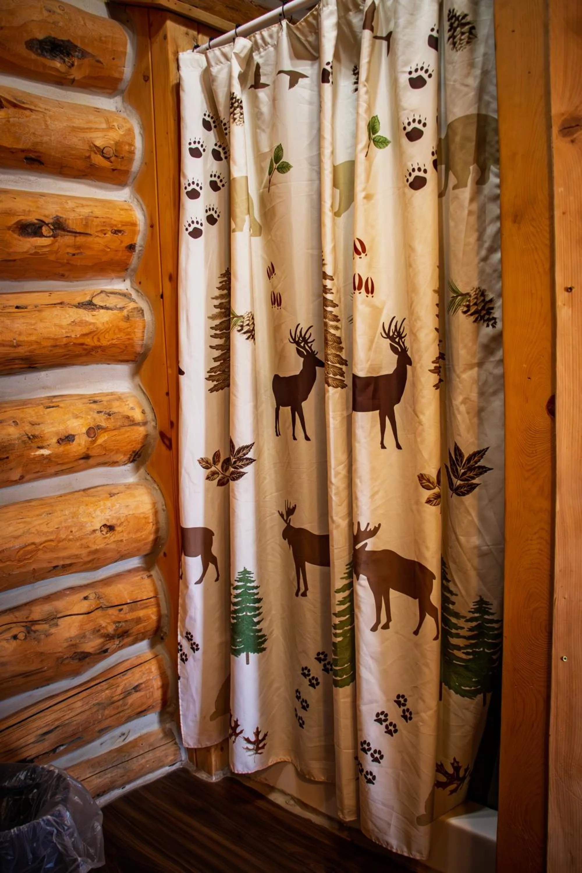 Crooked Creek Guest Ranch