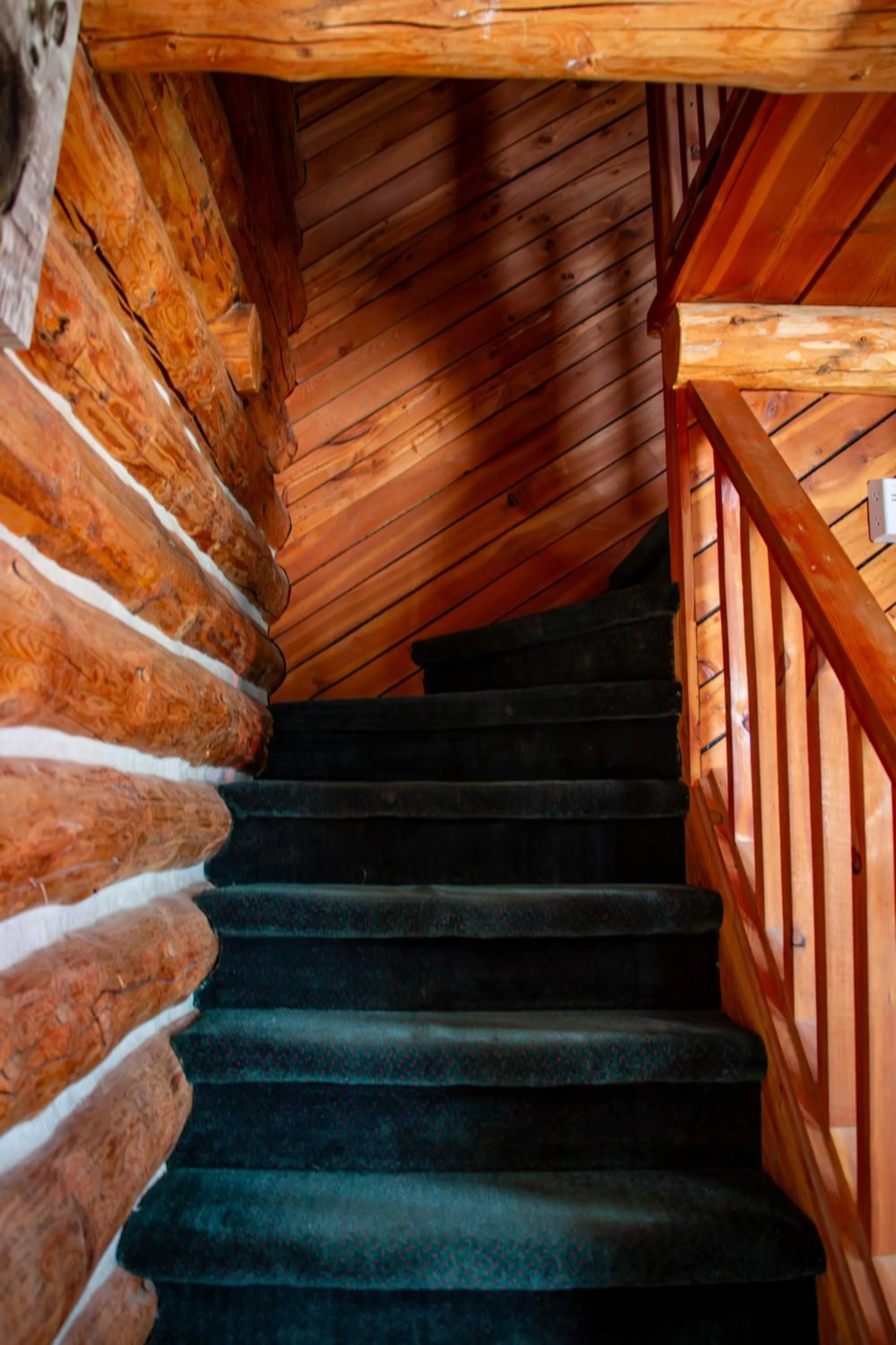 Crooked Creek Guest Ranch