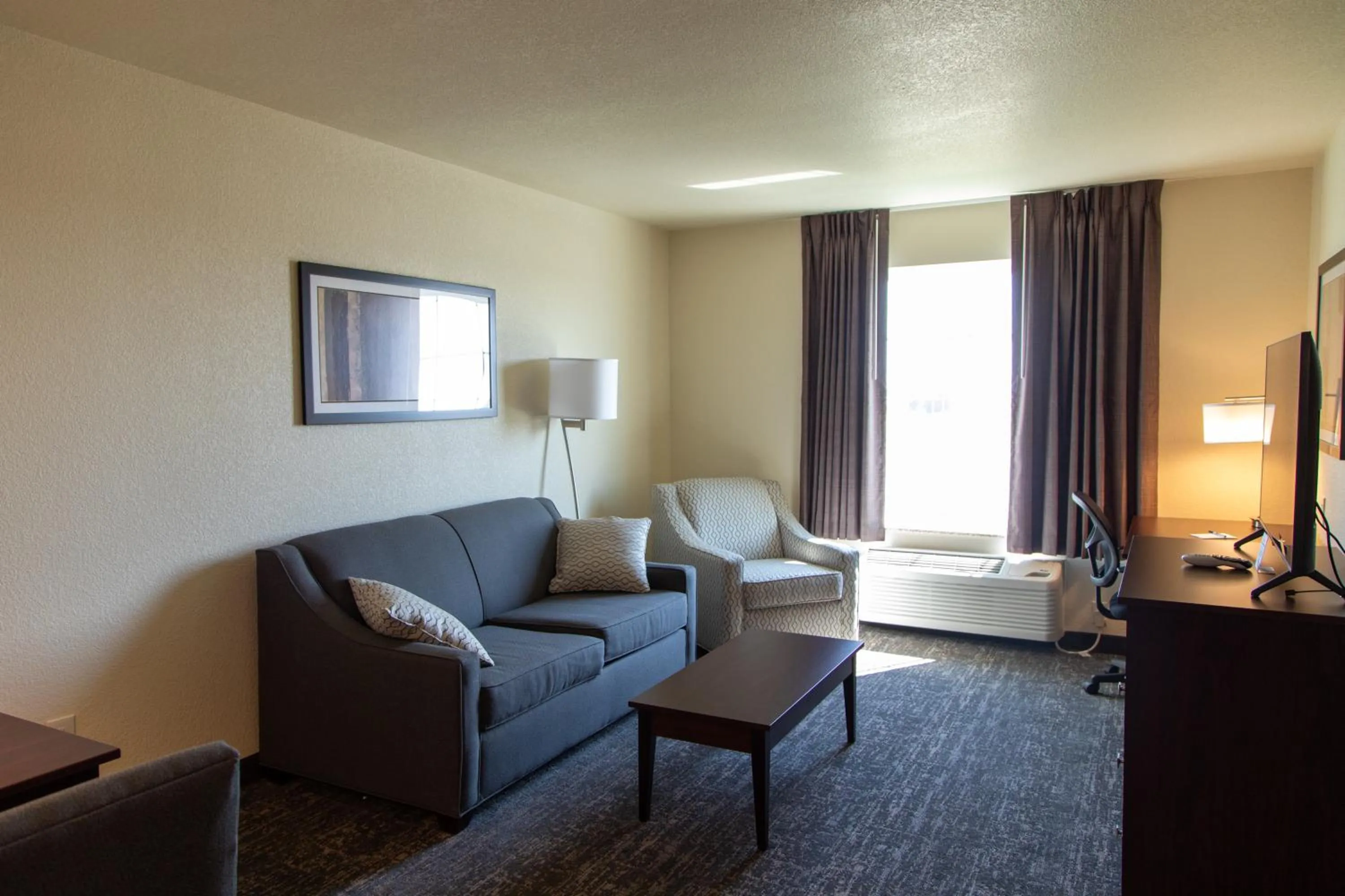 TV and multimedia in Cobblestone Inn & Suites -Springfield