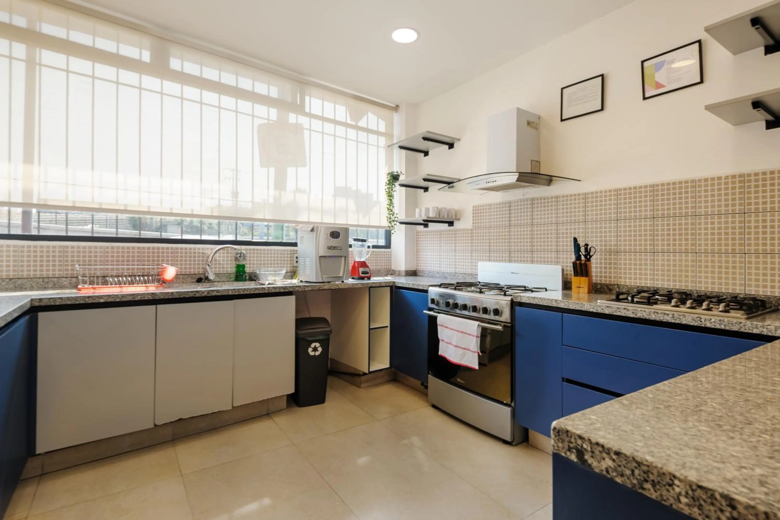 Communal kitchen in Colmena Hotel CDMX Suites Roma