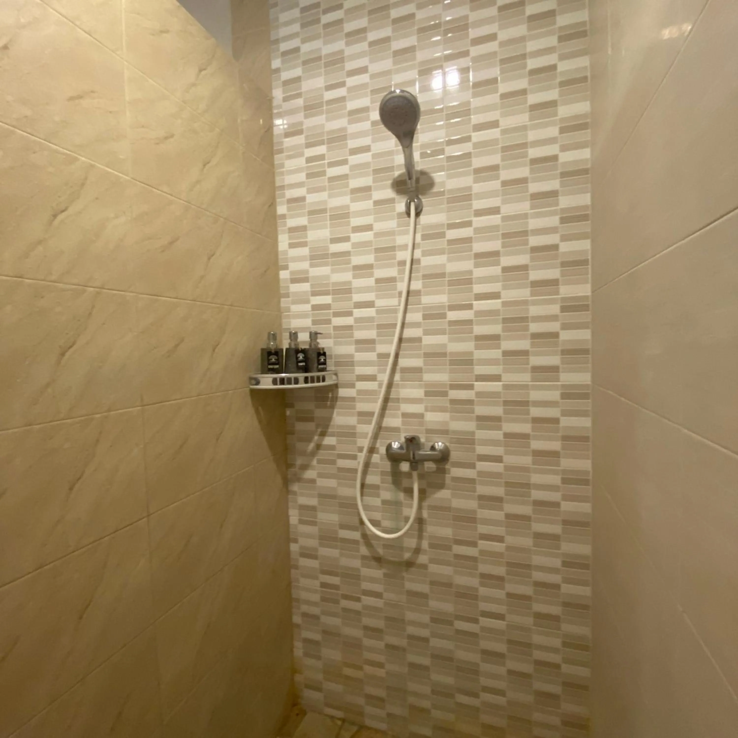Shower in Green D'mel Bali