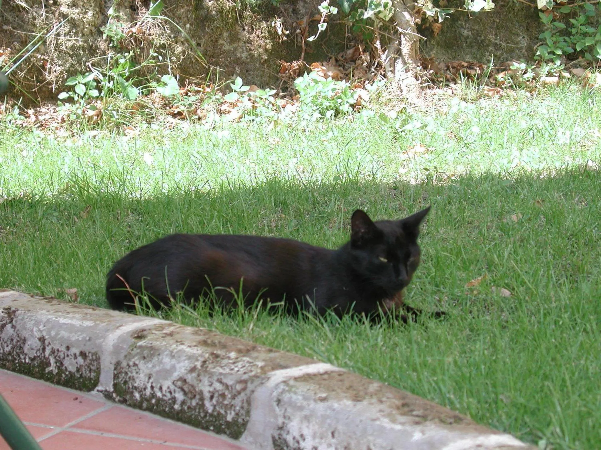 Pets in Hotel Relais Valle Orientina