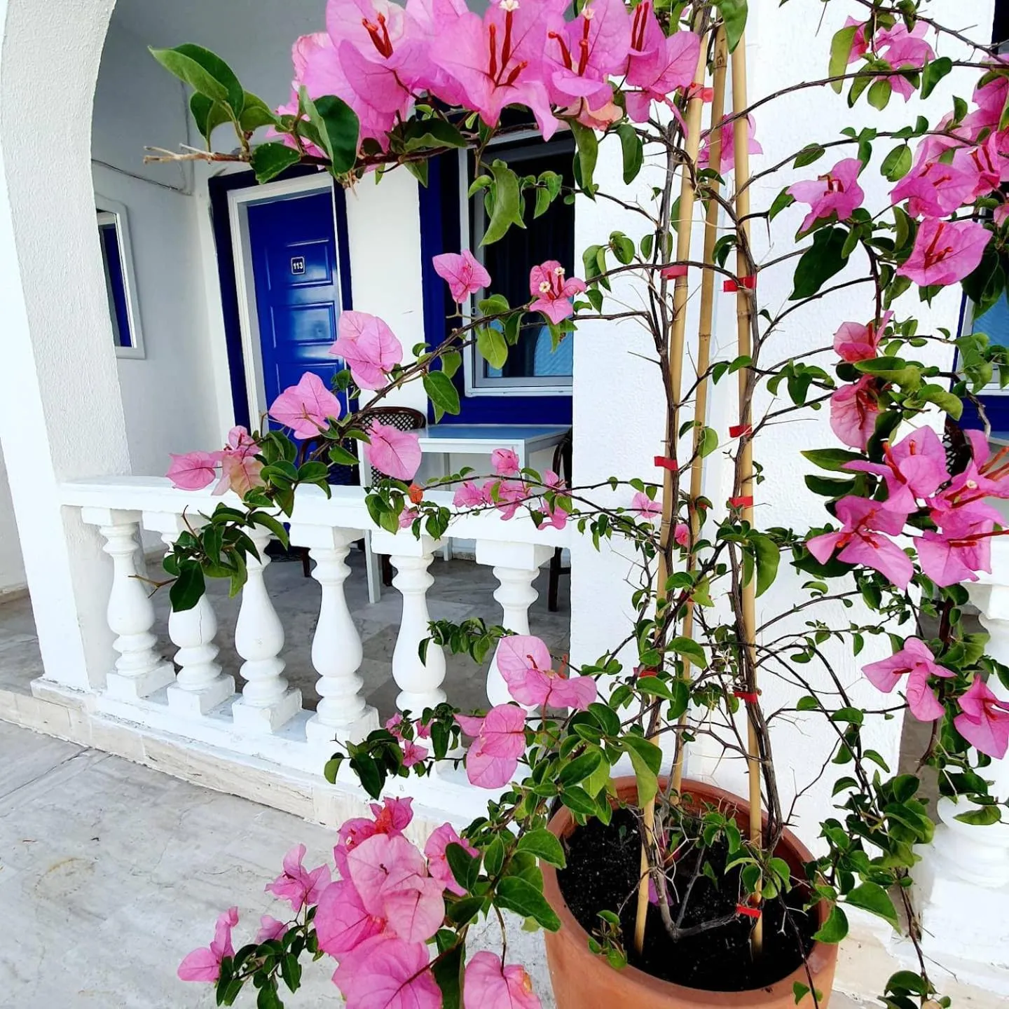 Facade/entrance in Dreams Bodrum butik hotel