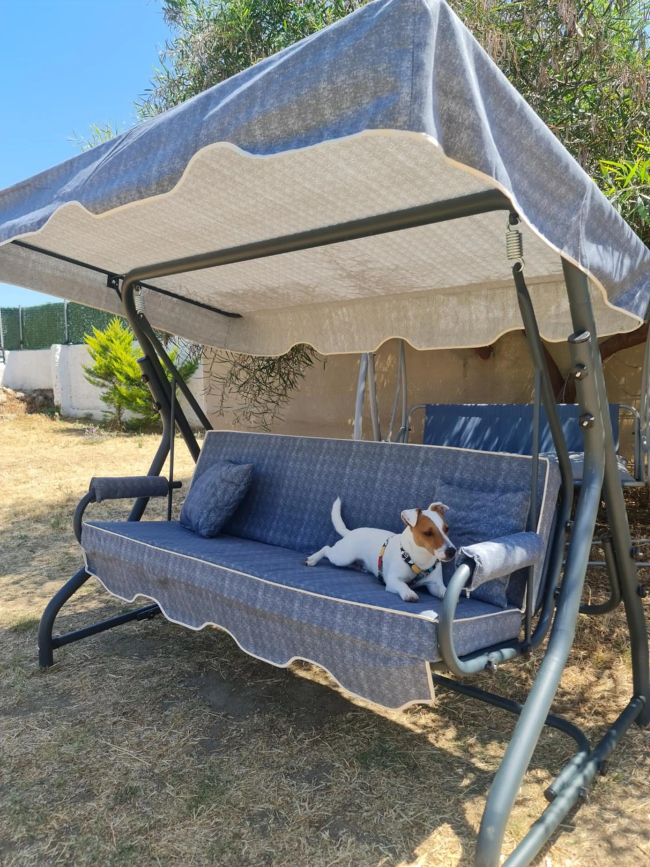 Patio in Dreams Bodrum butik hotel
