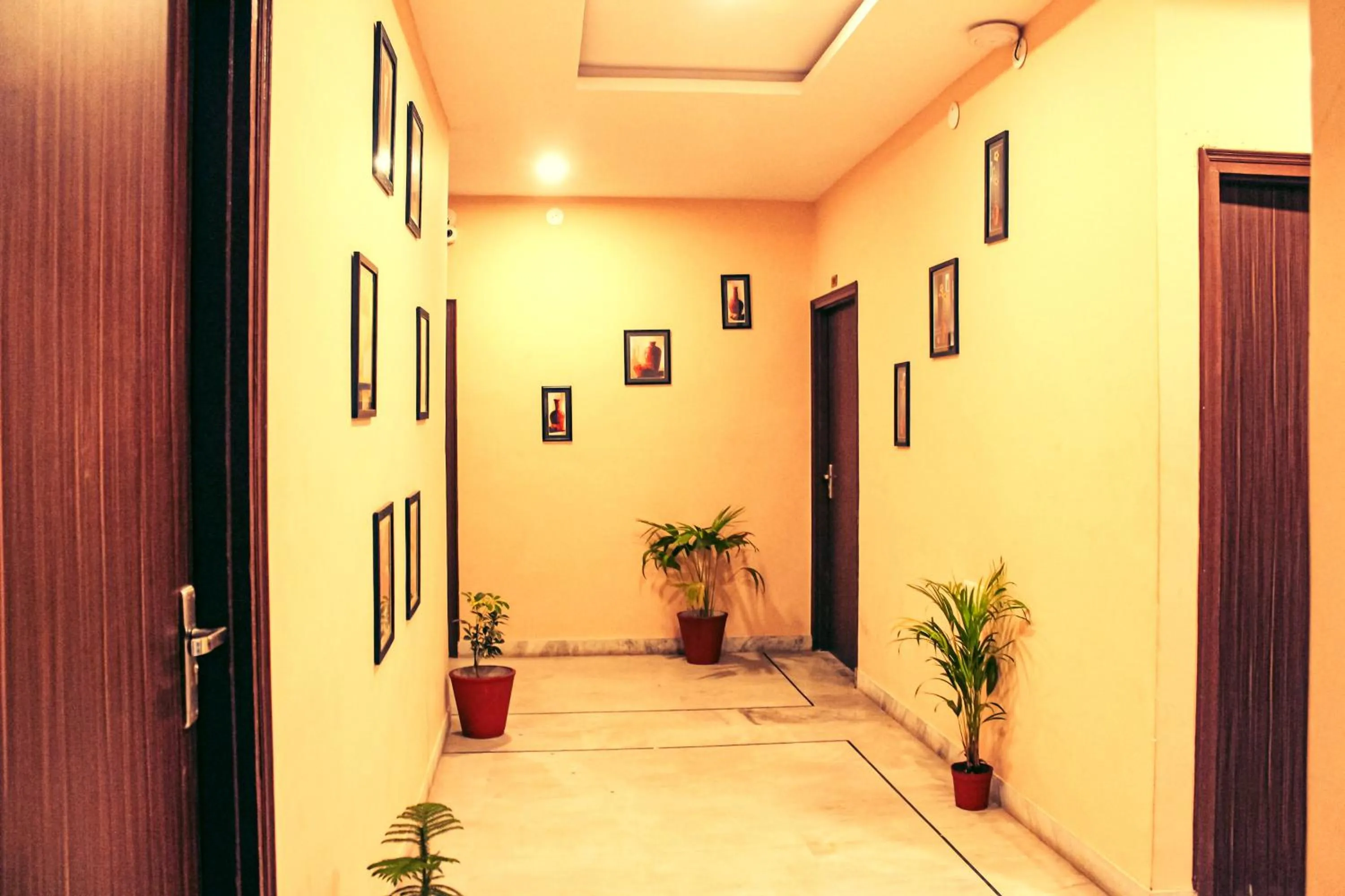 Property building in Tripli Udaipur