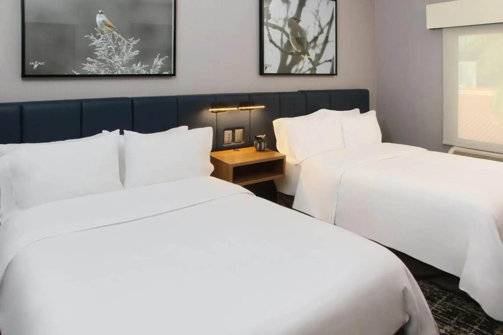 One-Bedroom Suite with Two Double Beds and Kitchen in voco Saltillo Suites by IHG One-Bedroom Suite with Two Double Beds and Kitchen in voco Saltillo Suites by IHG