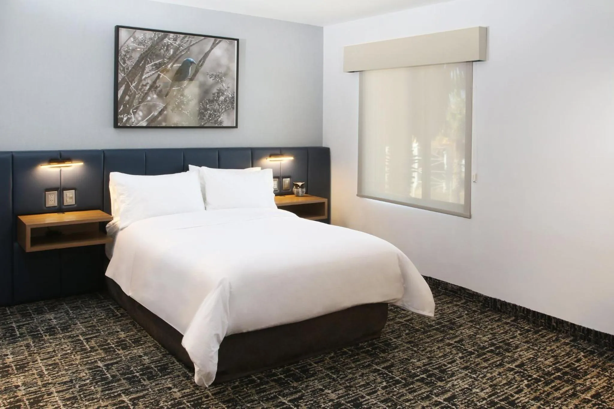 Photo of the whole room, Bed in voco Saltillo Suites by IHG