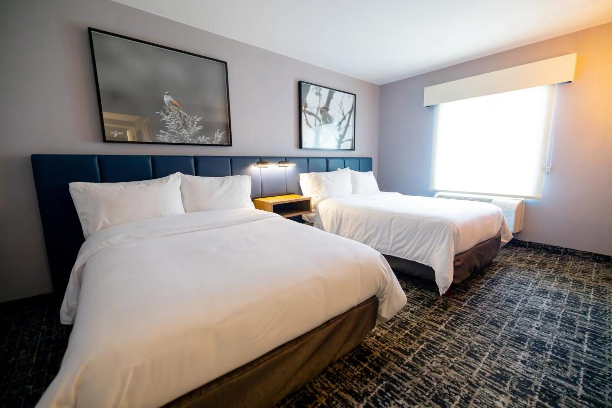 Photo of the whole room, Bed in voco Saltillo Suites by IHG