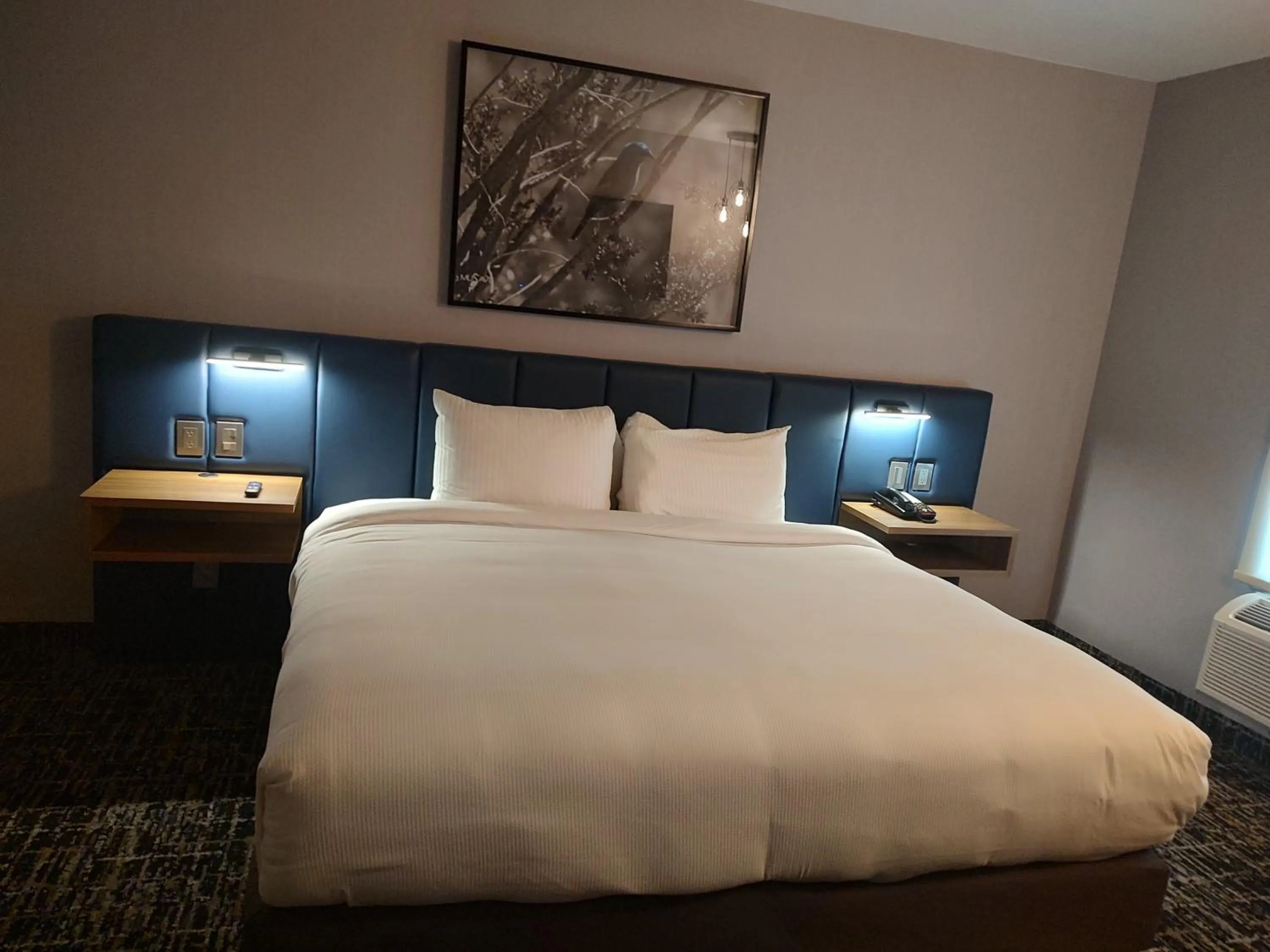Photo of the whole room, Bed in voco Saltillo Suites by IHG