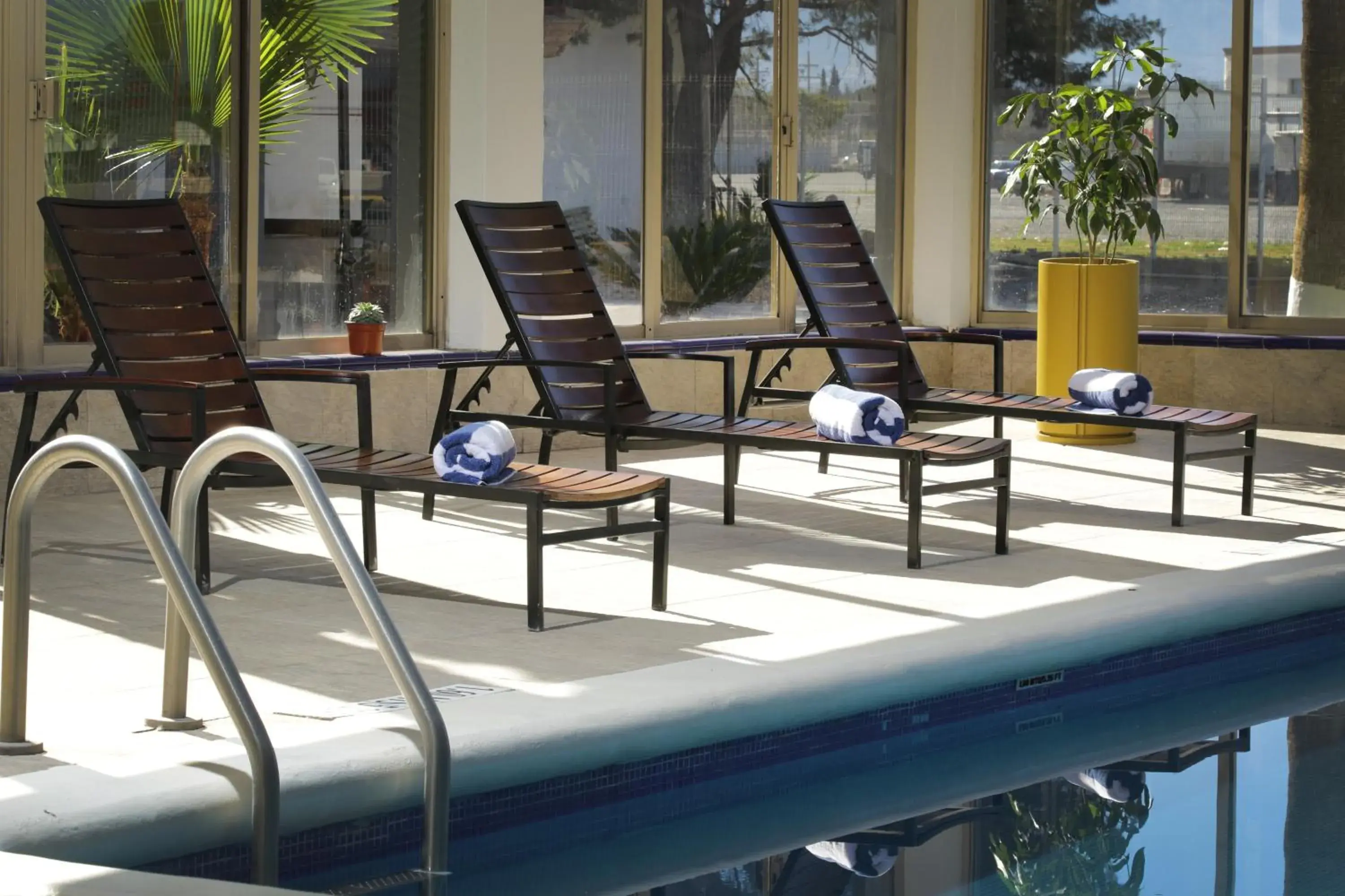 Swimming pool in voco Saltillo Suites by IHG Swimming pool in voco Saltillo Suites by IHG