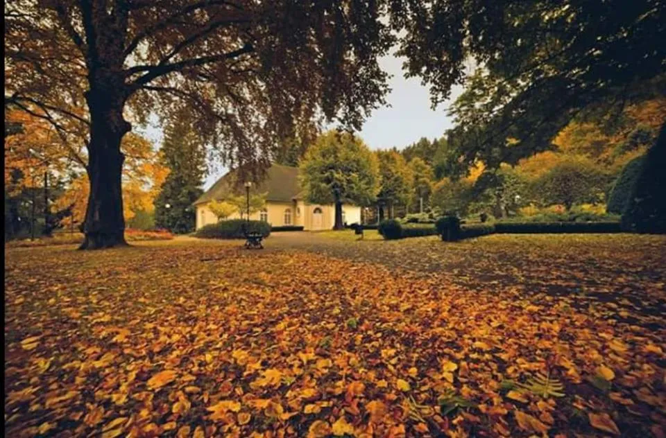 Natural landscape in Resort de Esperanto Sanatorium Uzdrowiskowe